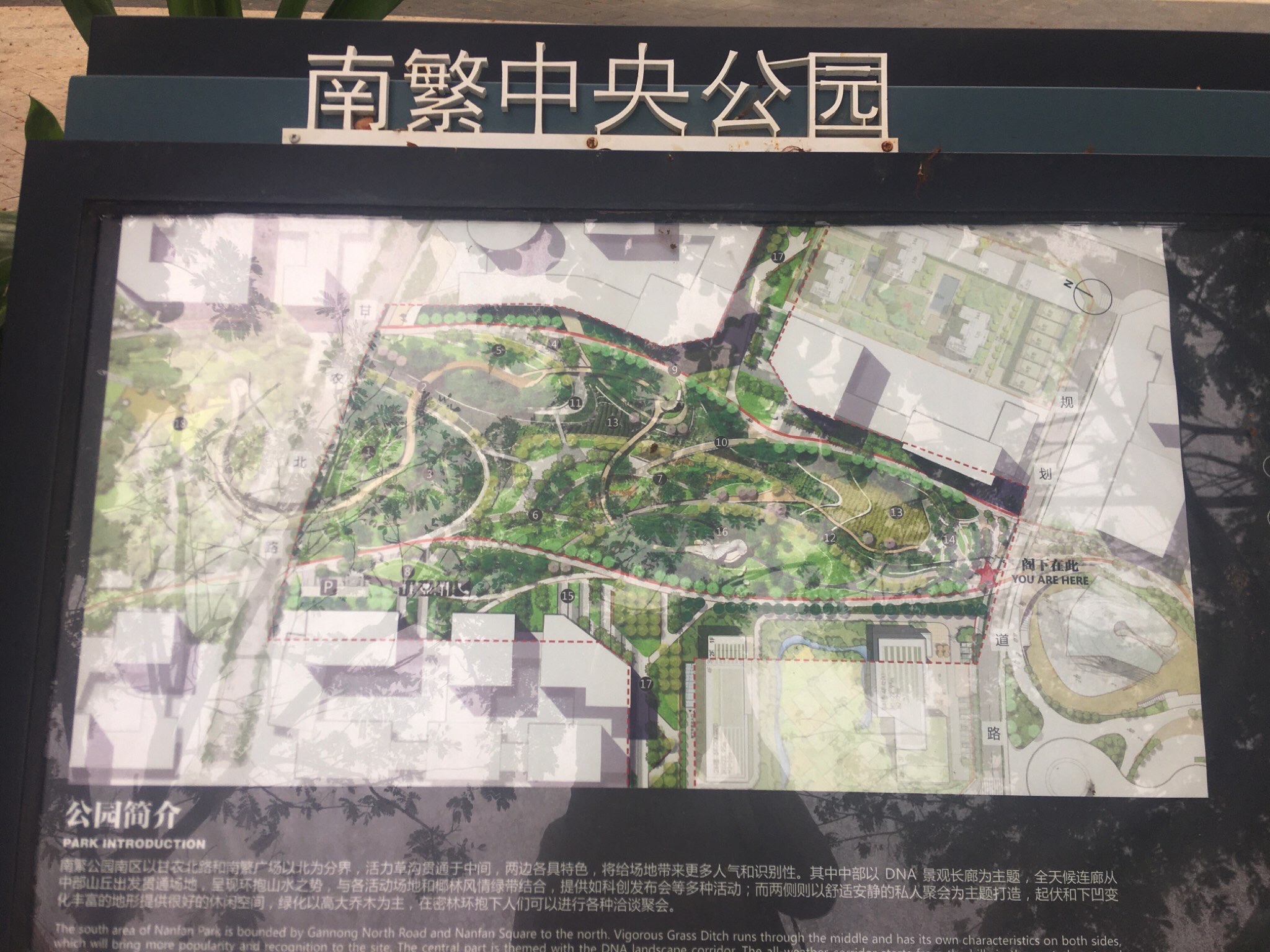 南繁中央公园旅行图片 1