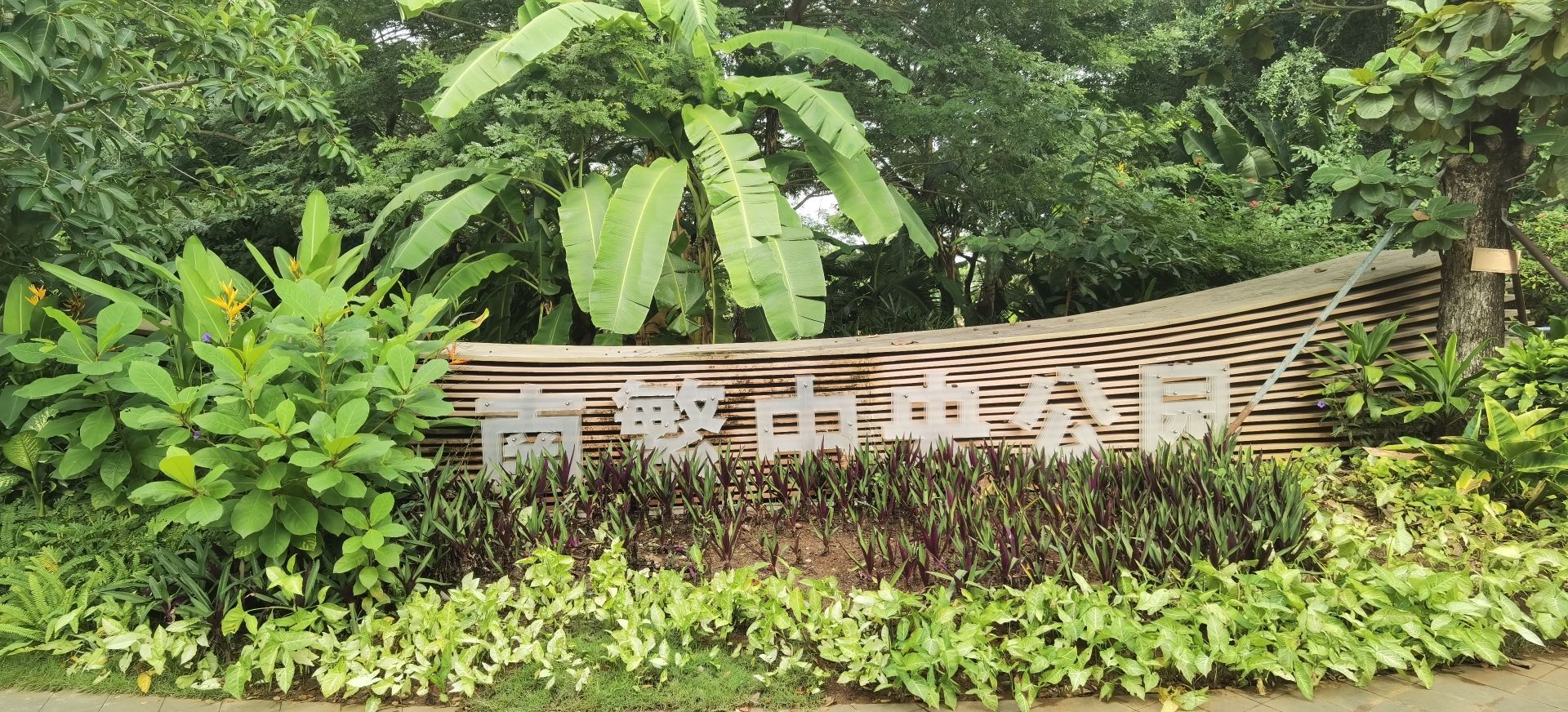 南繁中央公园旅行图片 2