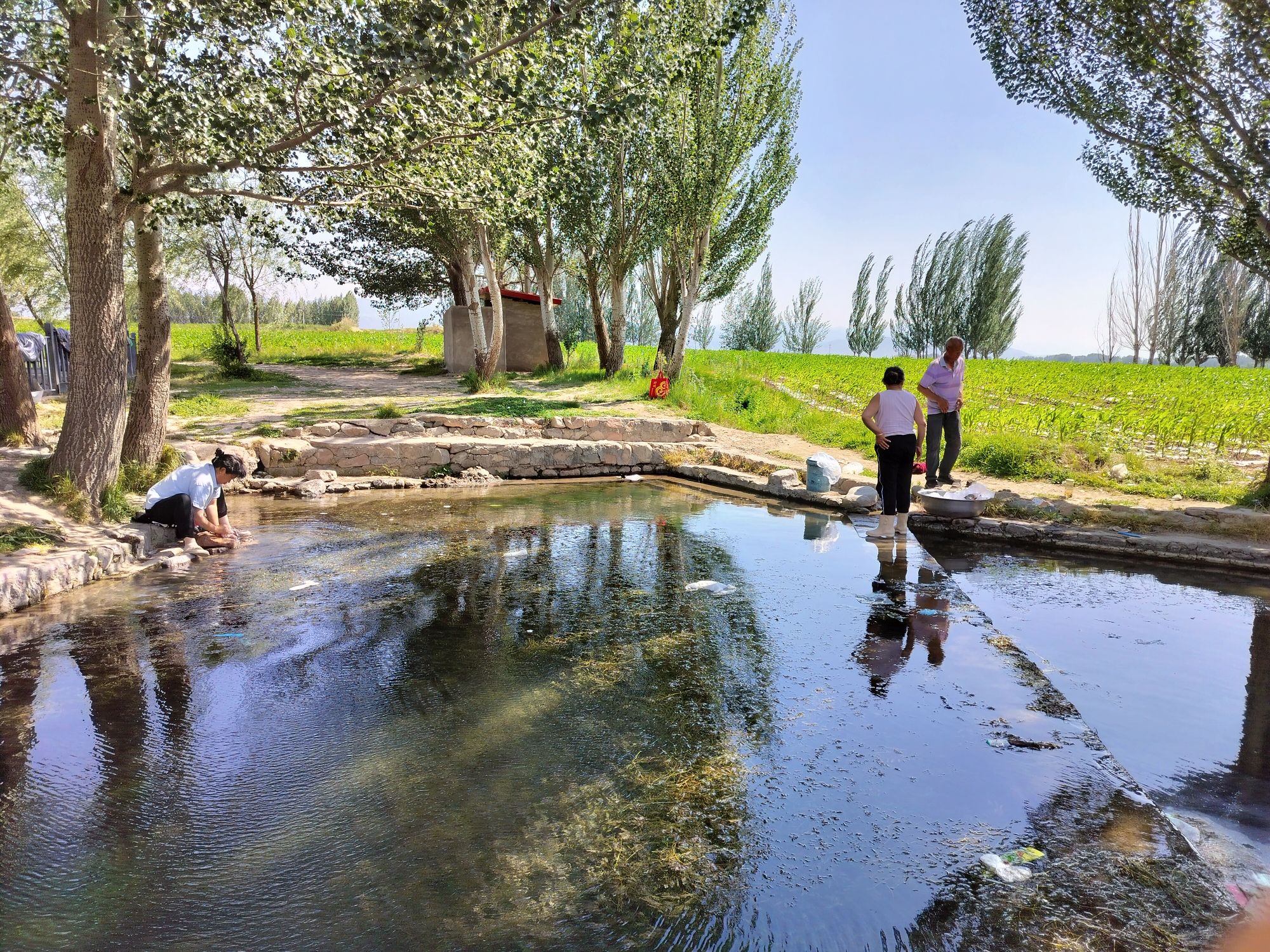 千胜龙泉旅行图片 2