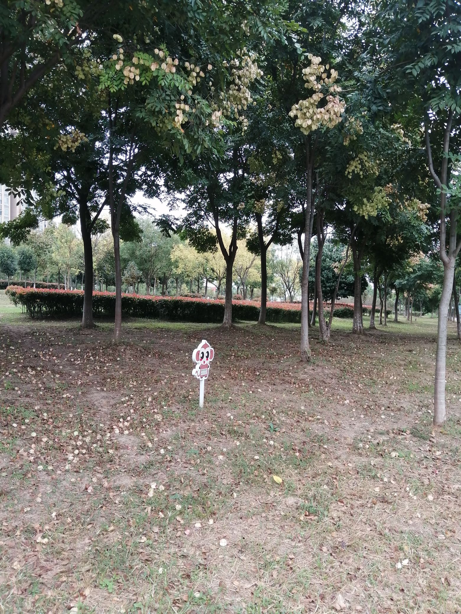 望江滨河公园旅行图片 3