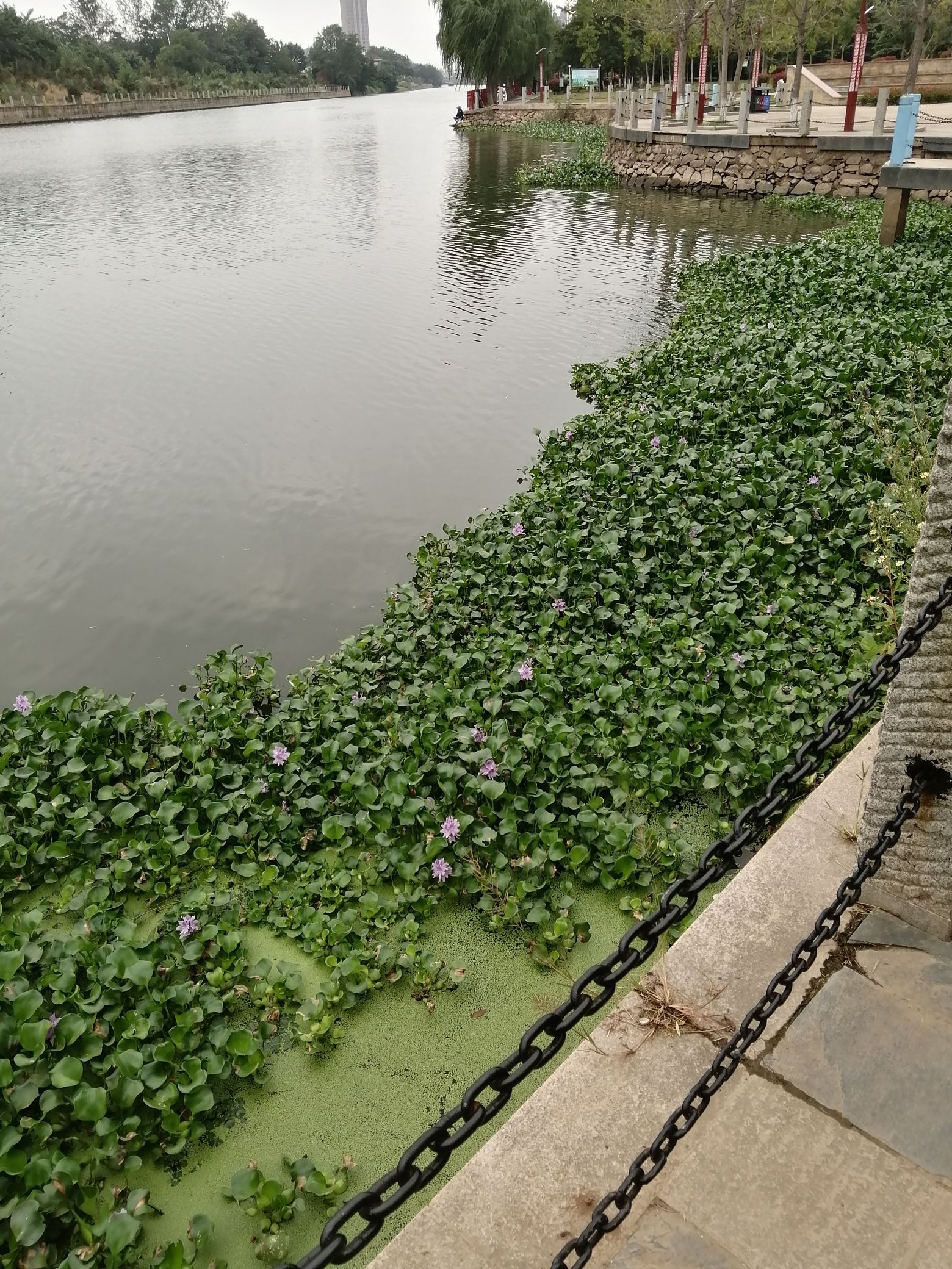 望江滨河公园旅行图片 1