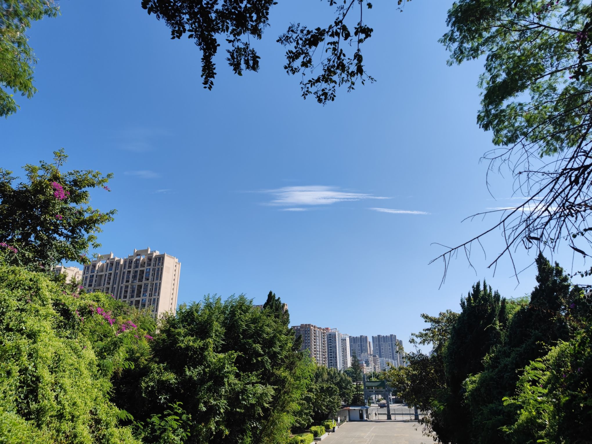 惠阳革命烈士纪念碑旅行图片 1