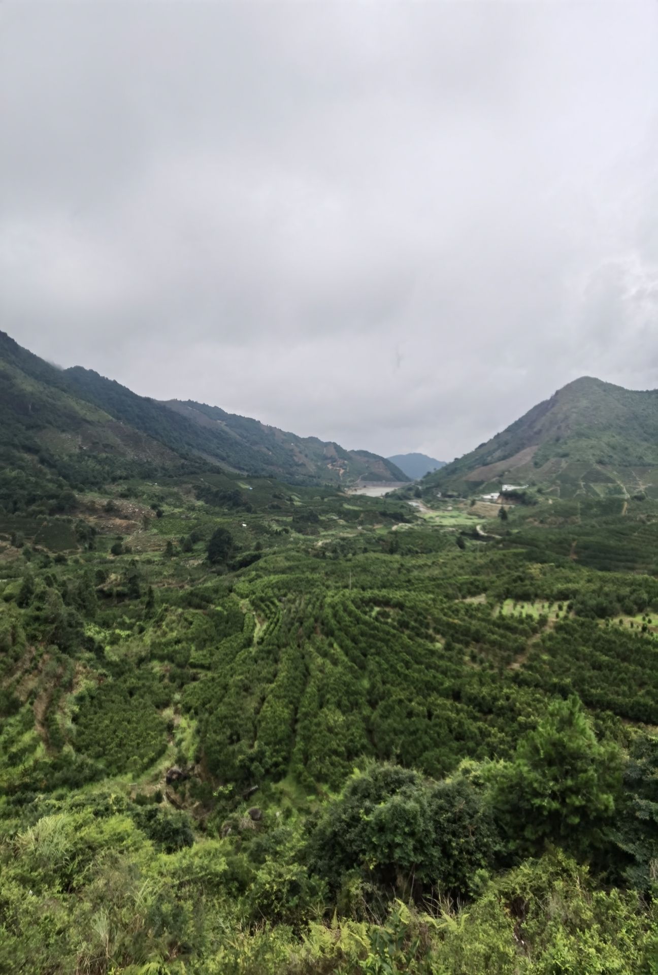 凤坪观景台旅行图片 1