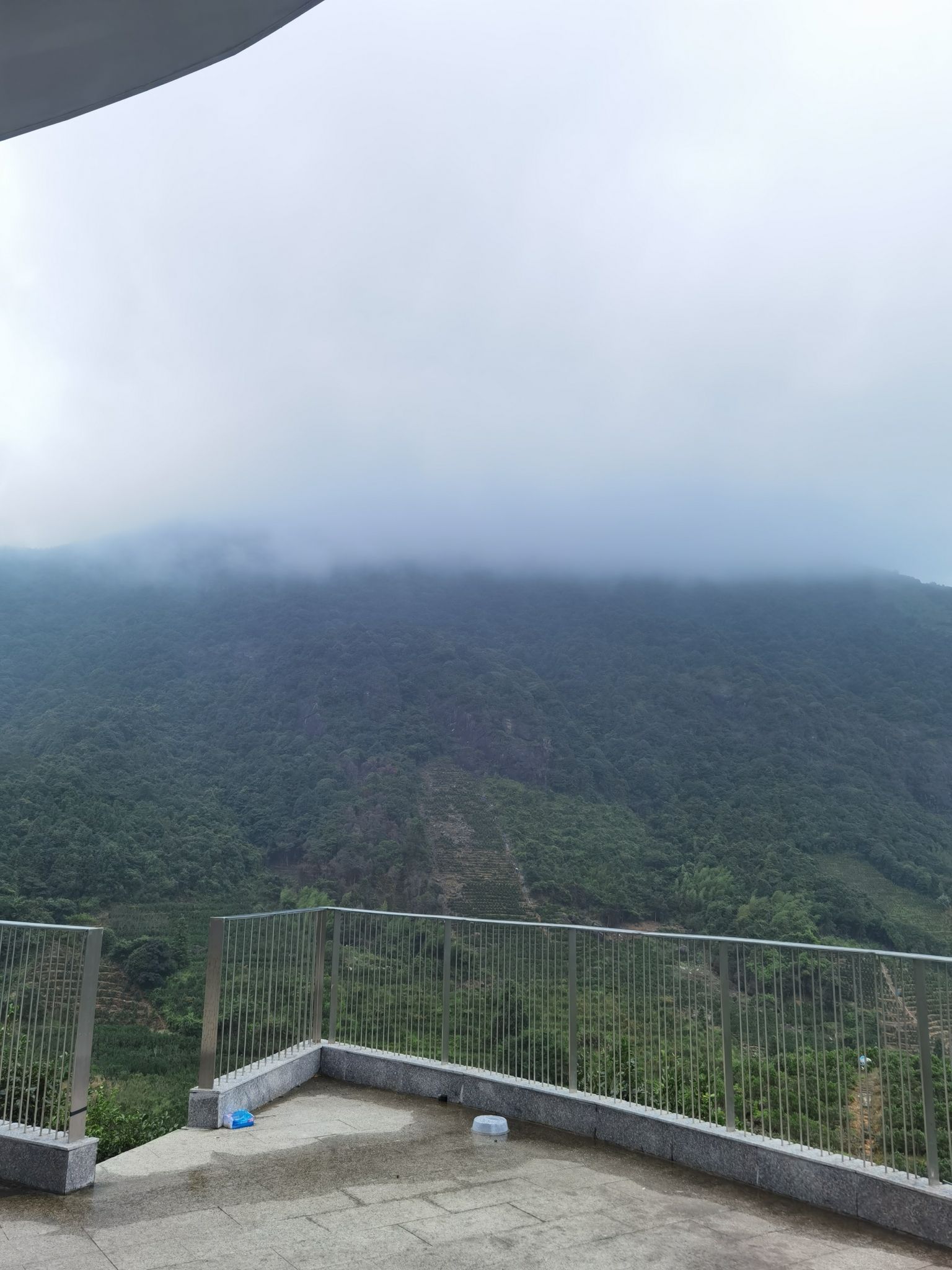 凤坪观景台旅行图片 2