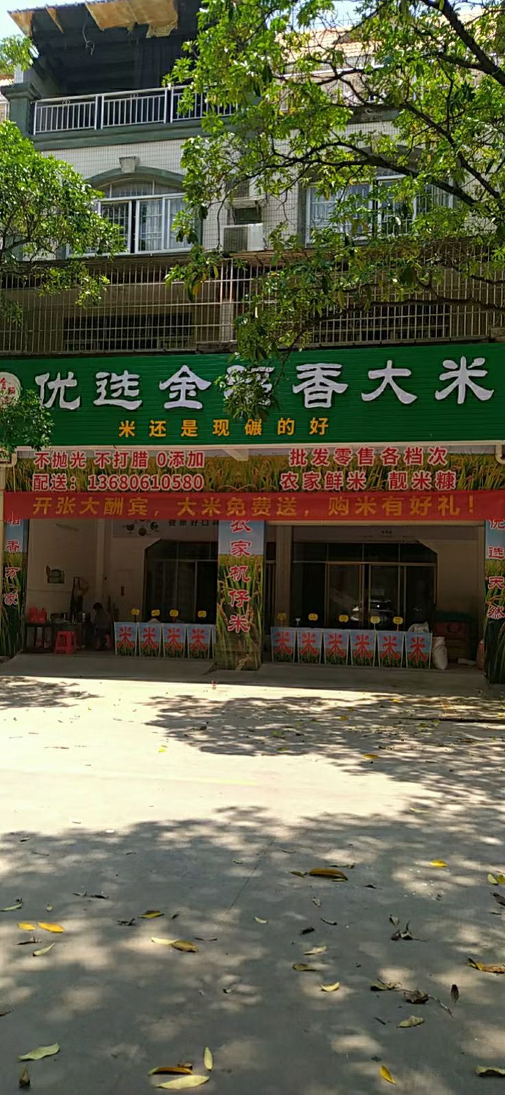 优选金稻香大米