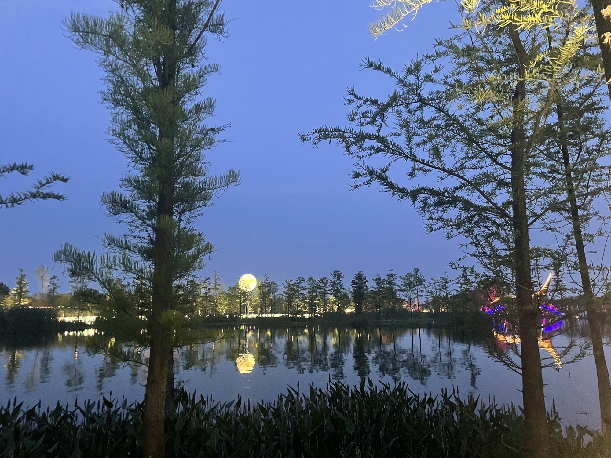 磨滩旅游度假区旅行图片 1