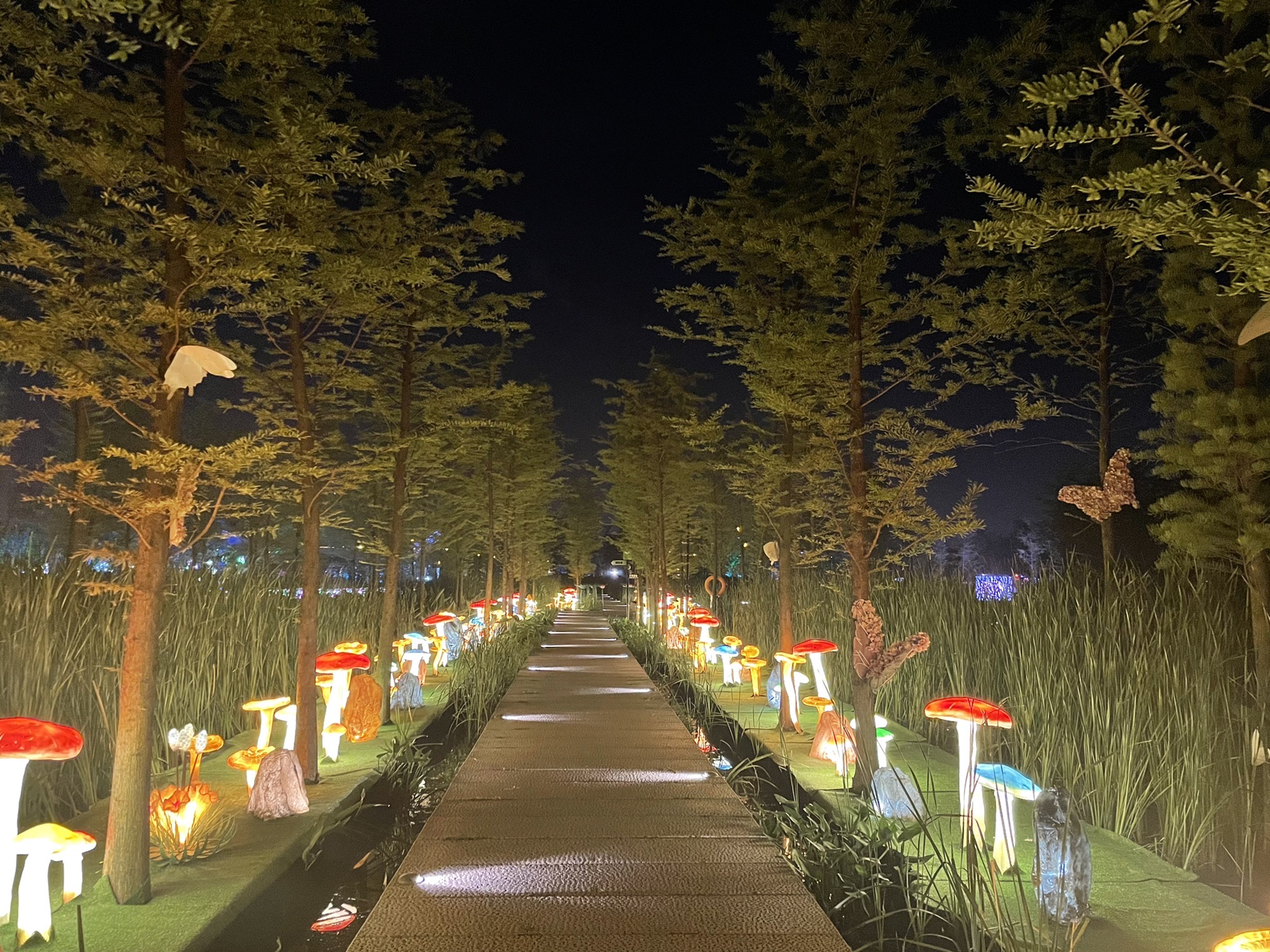 磨滩旅游度假区旅行图片 2