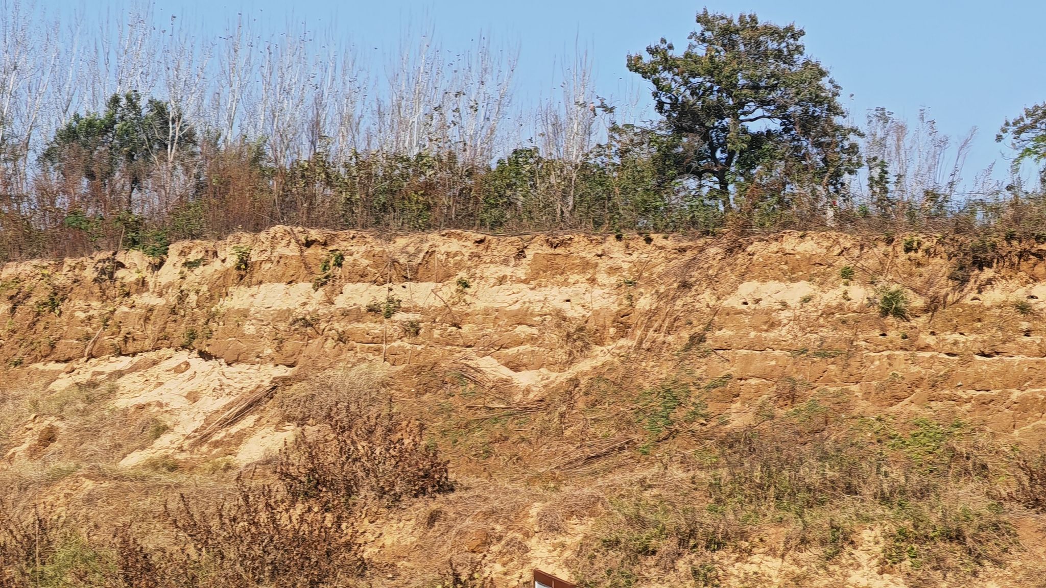 沙燕湿地旅行图片 2