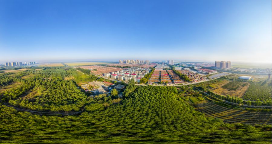 芦台农场