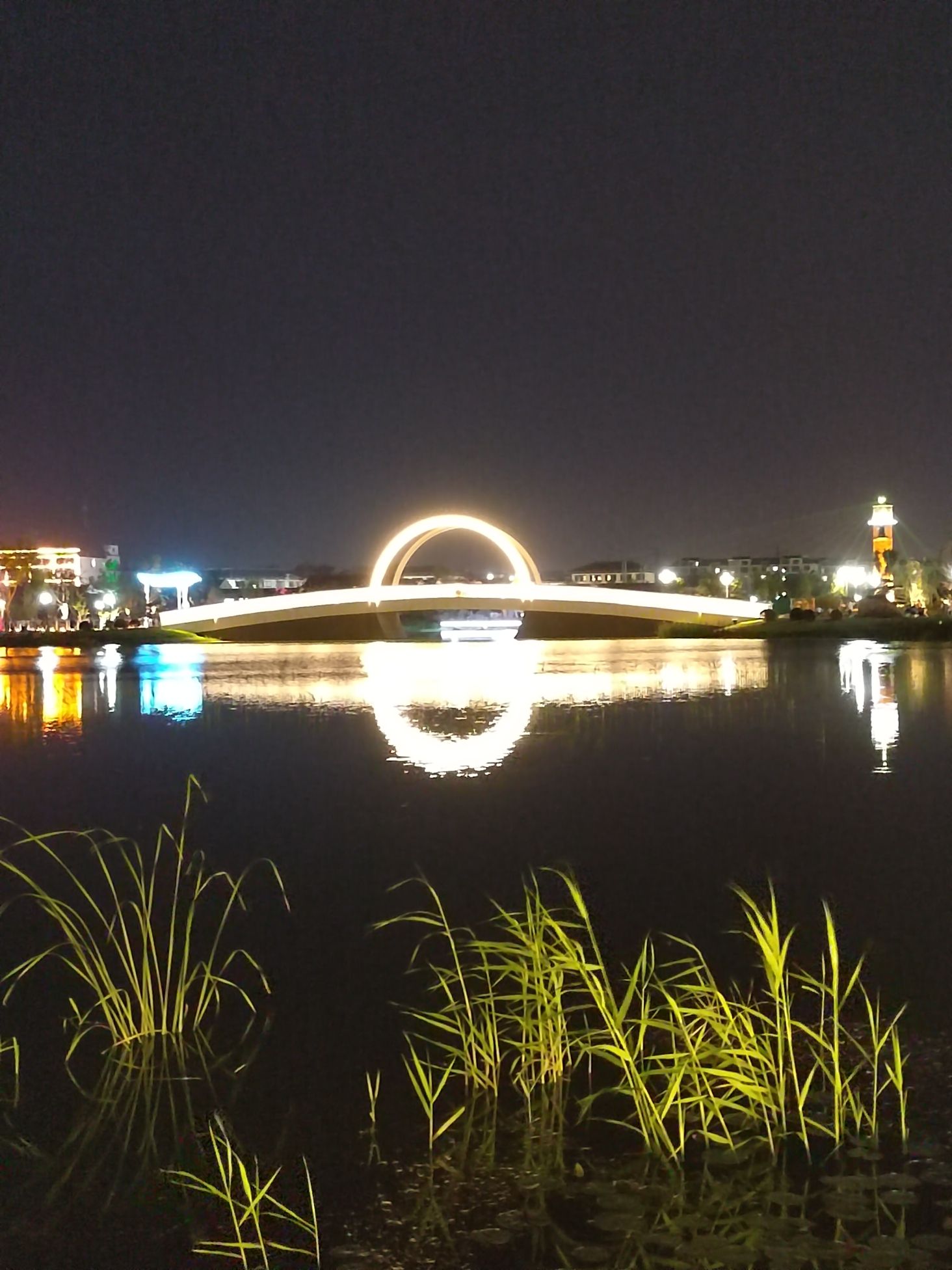 南埠湾公园旅行图片 1