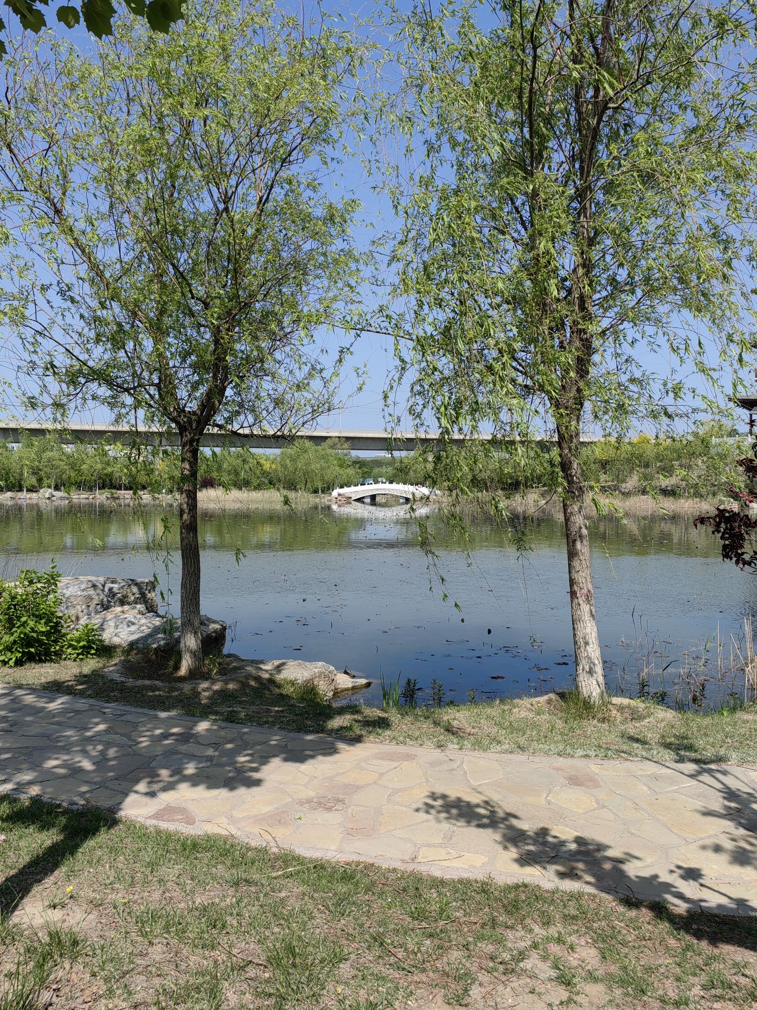 唐山市汉沽祥龙湖旅游风景区旅行图片 3