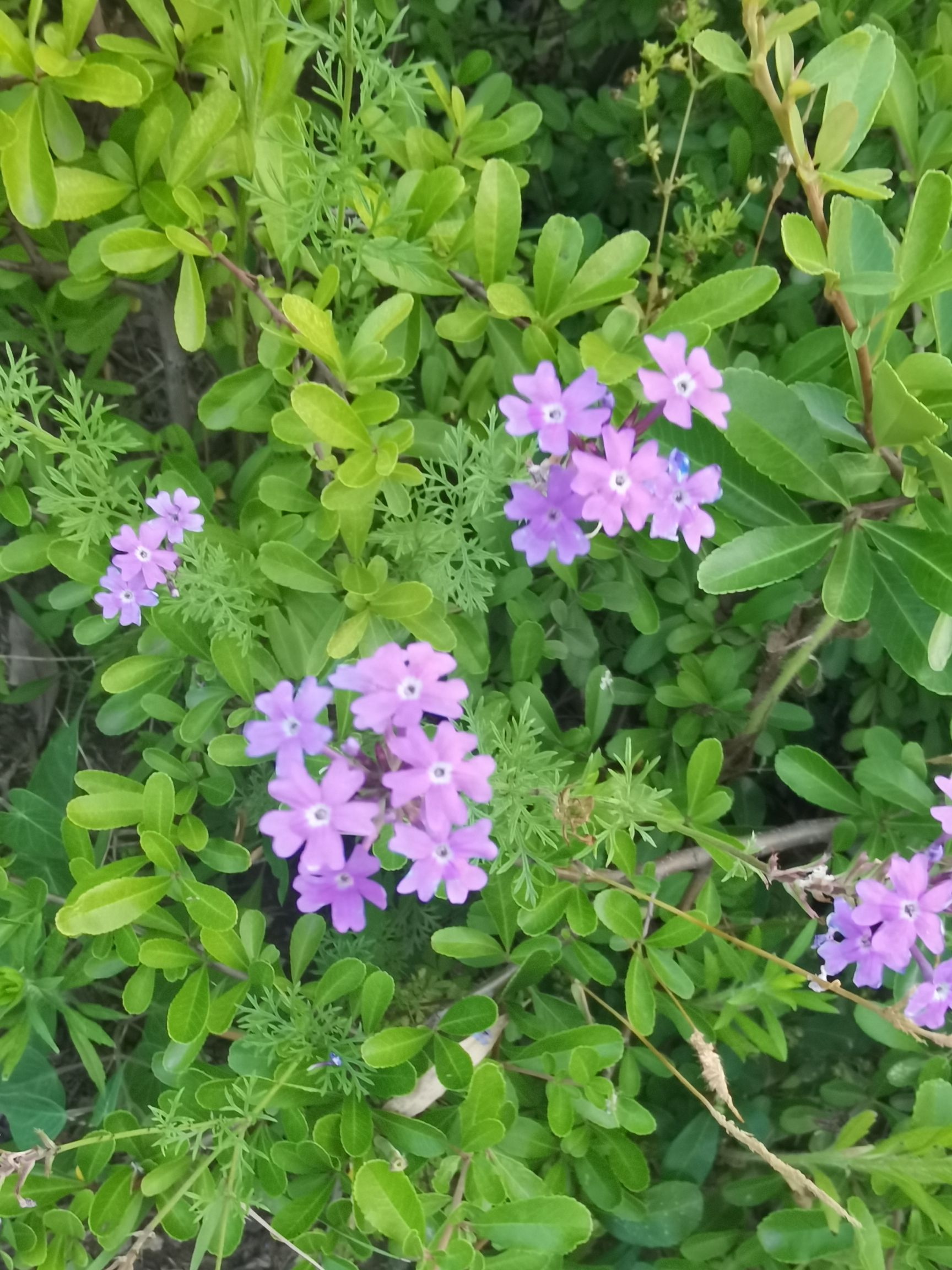 万福河滨水公园旅行图片 2