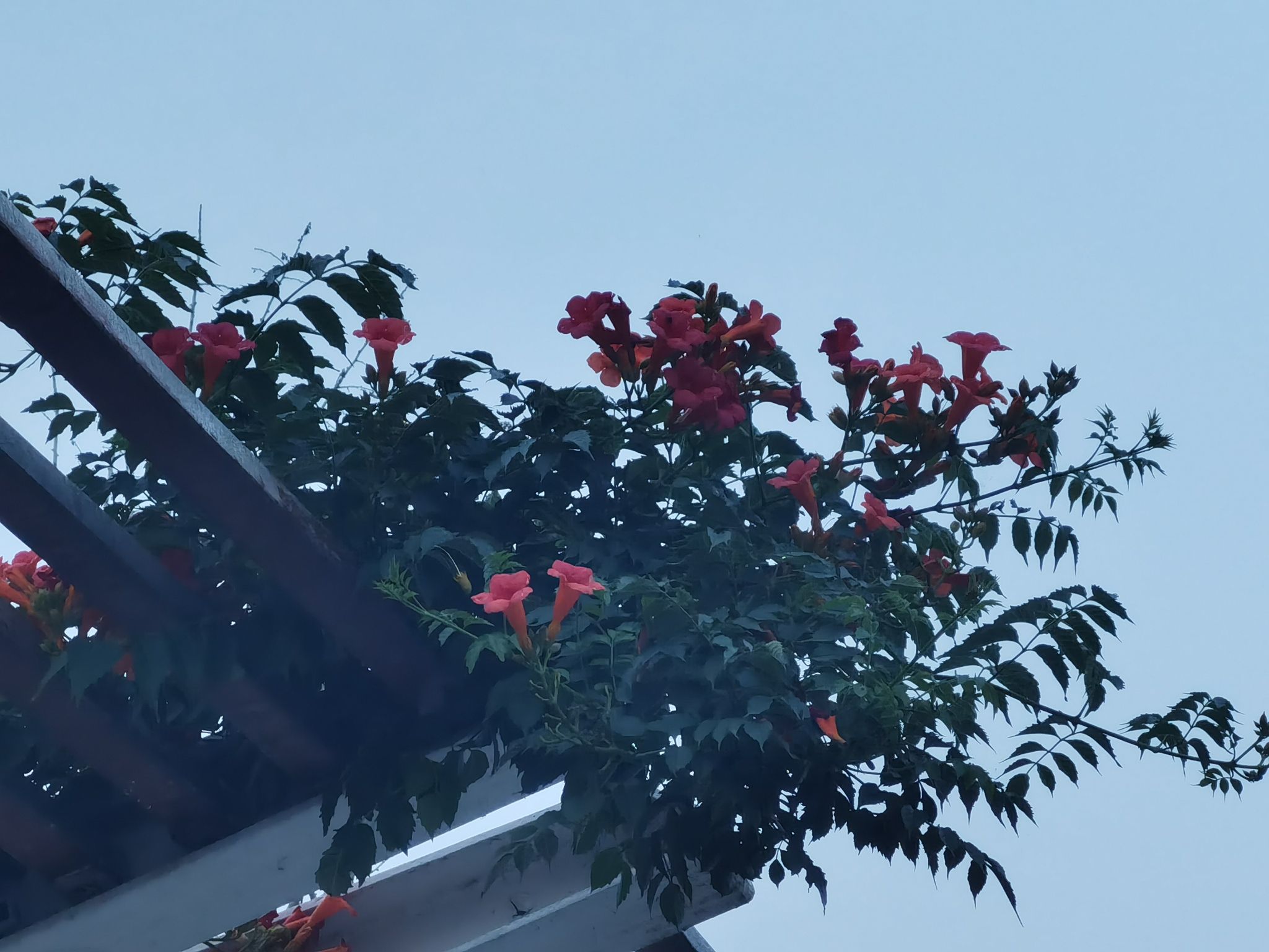 万福河滨水公园旅行图片 1