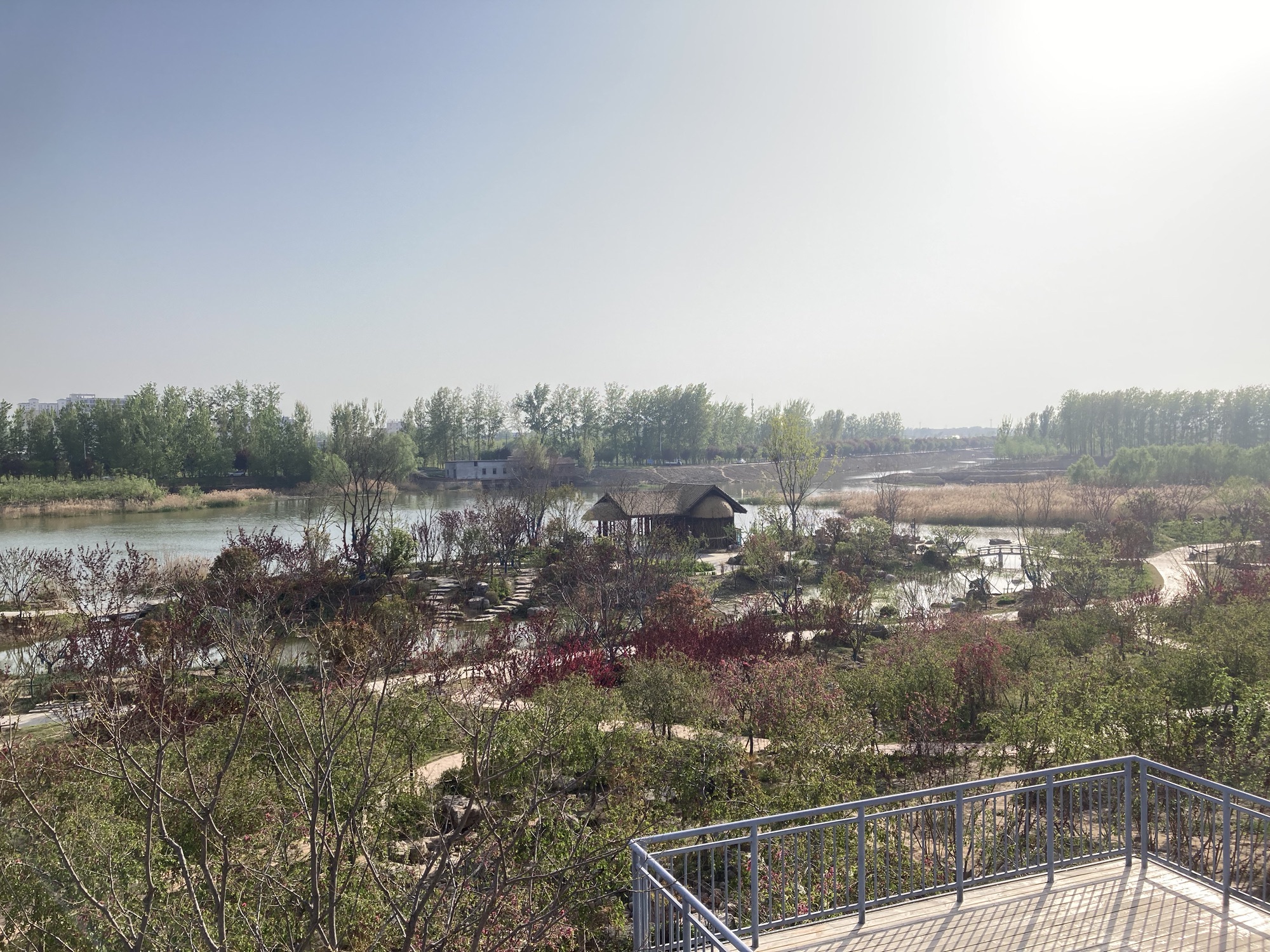 桃源盛境旅行图片 3