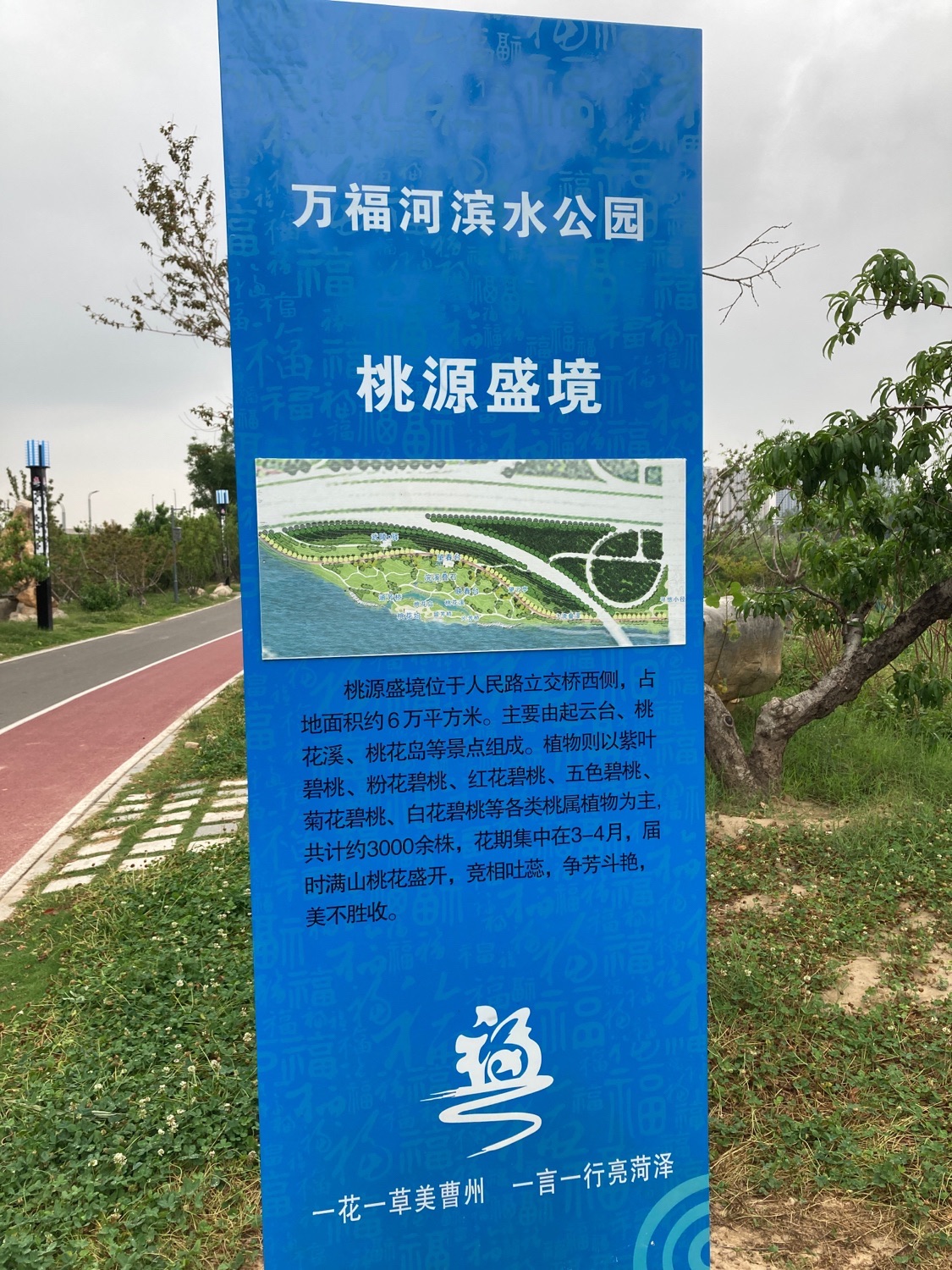 桃源盛境旅行图片 1