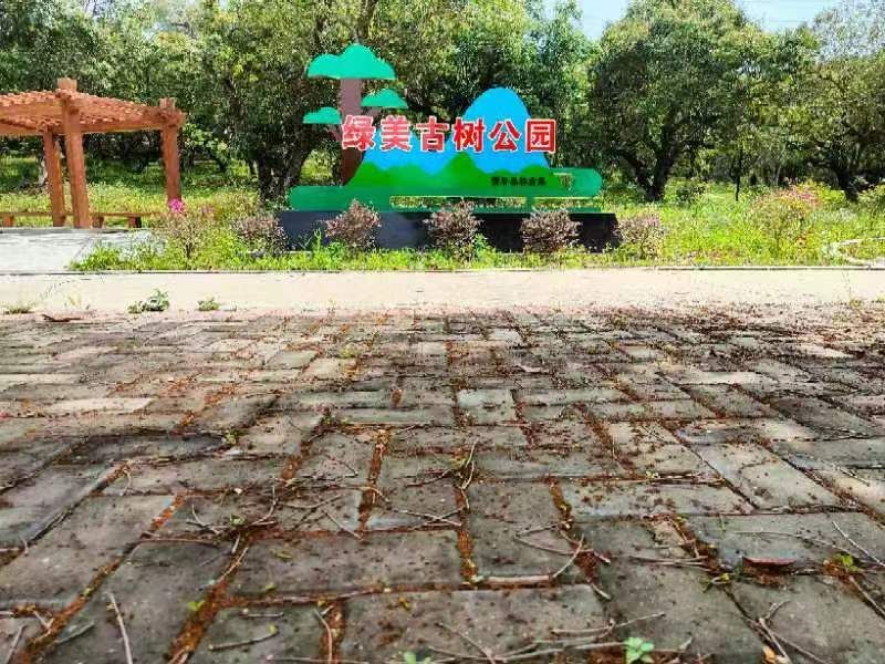 联饶镇上寨村绿美古树公园旅行图片 1