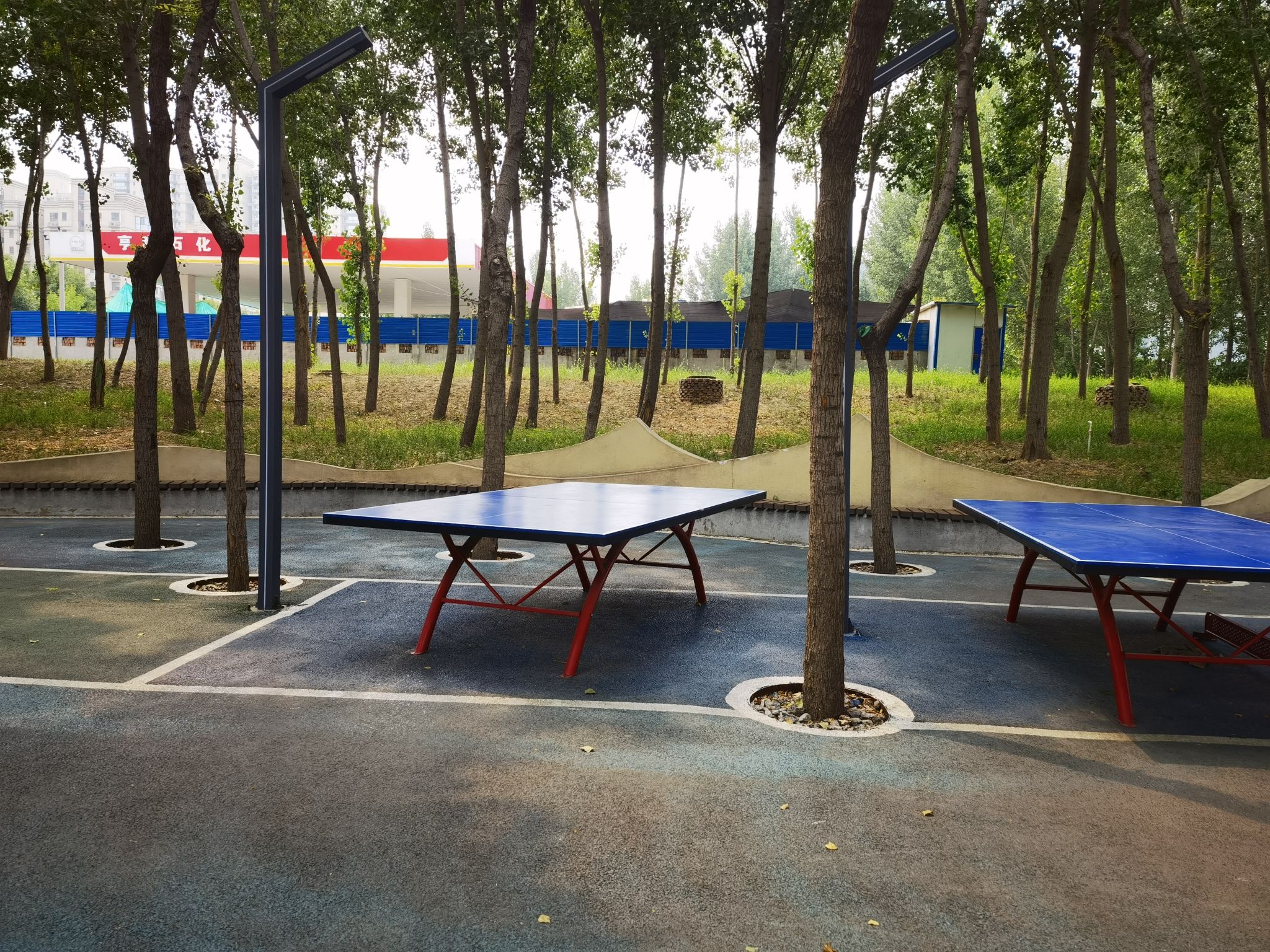 逸翠园旅行图片 3
