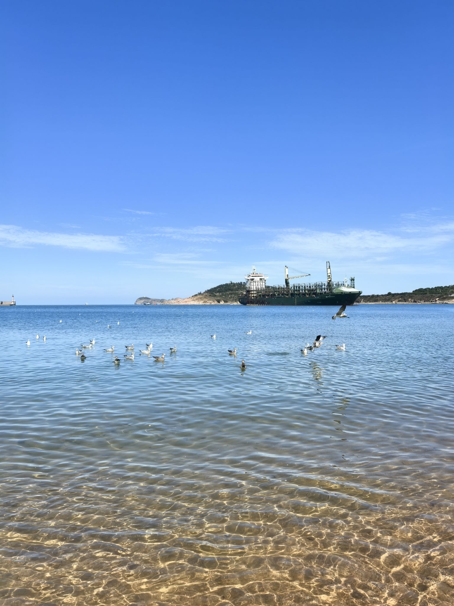 海鸥沙滩游乐园