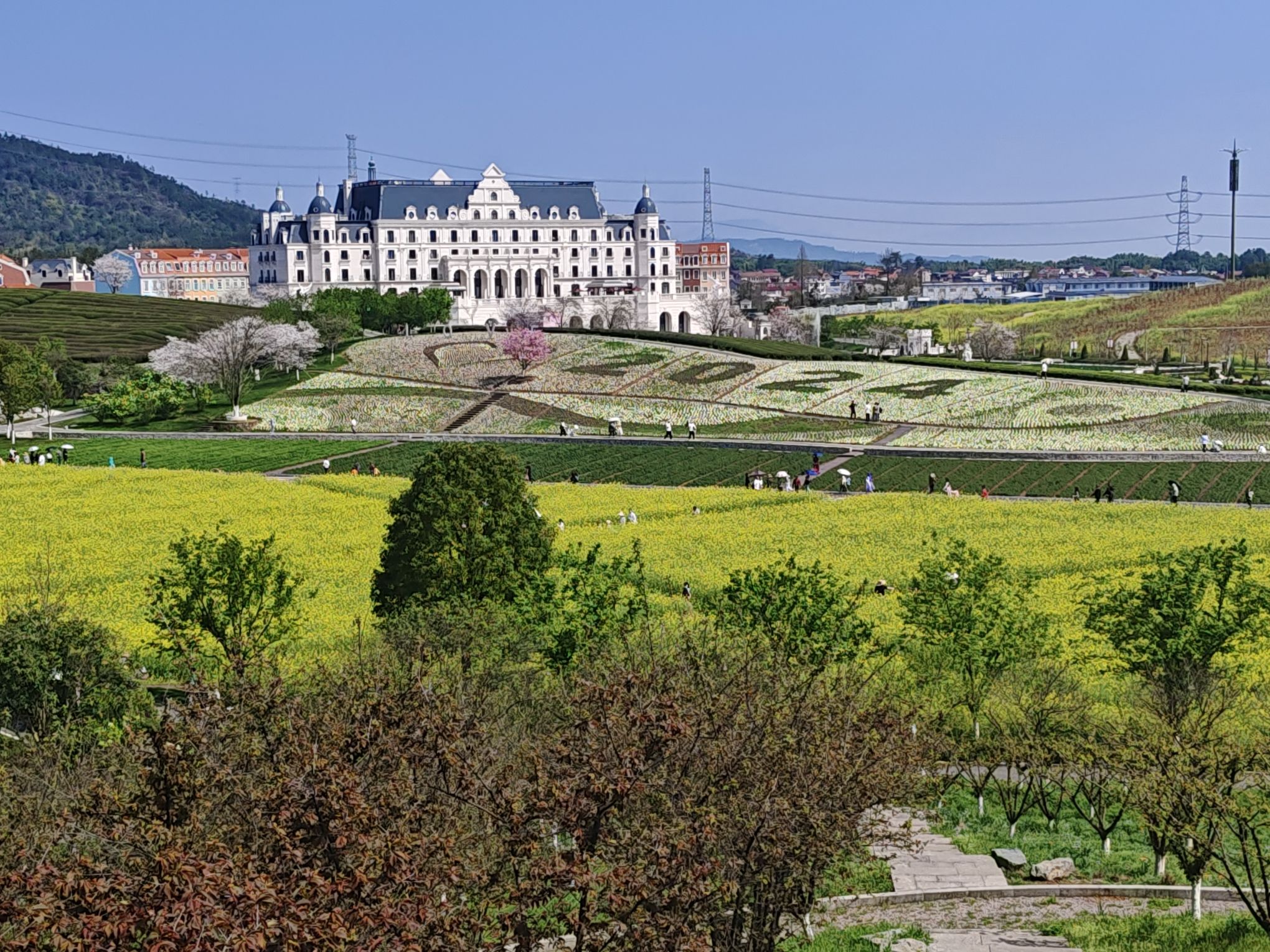 花田美地旅行图片 2