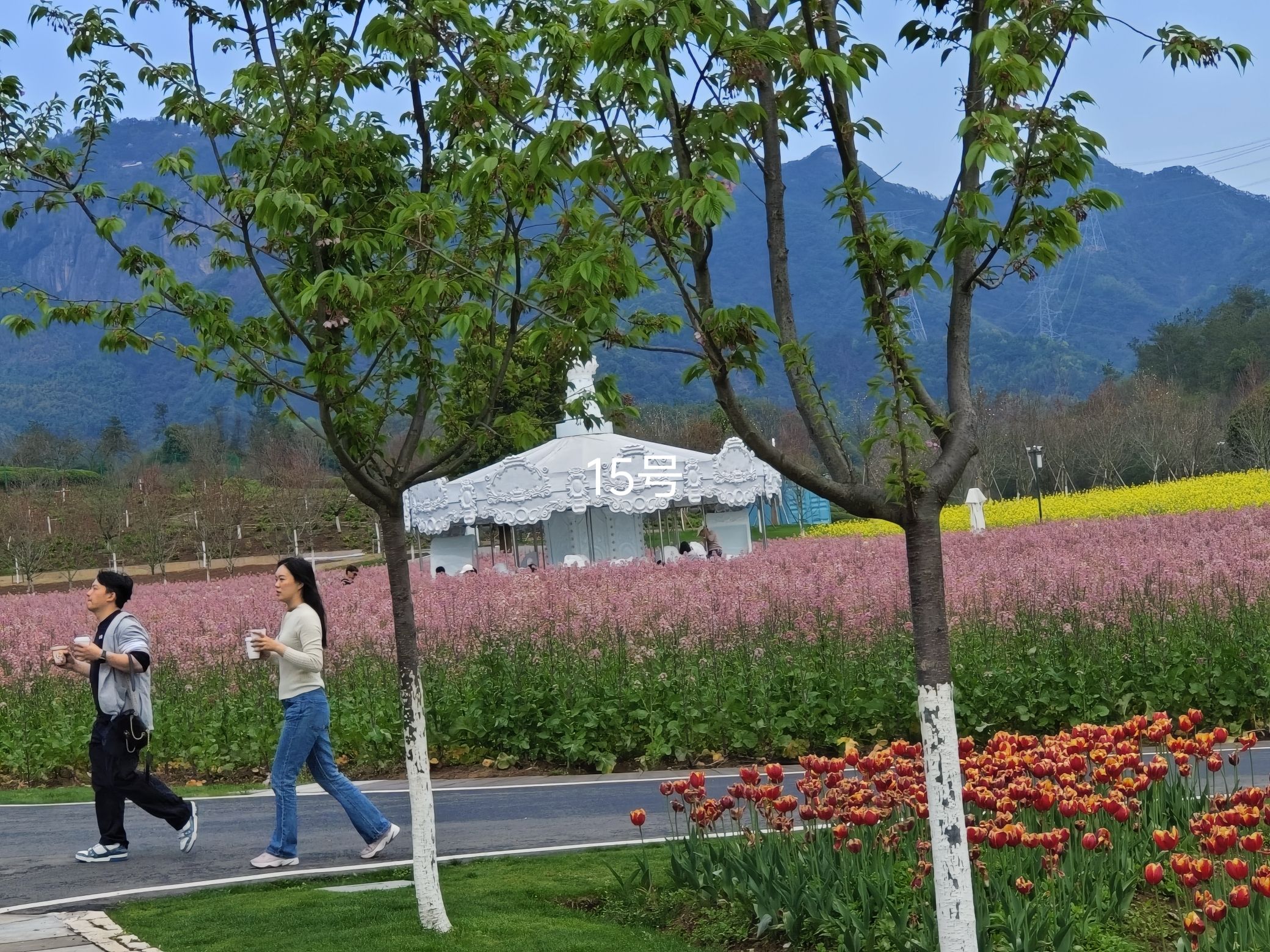 花田美地旅行图片 1