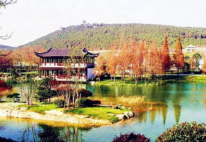 九棵树景区旅行图片 2