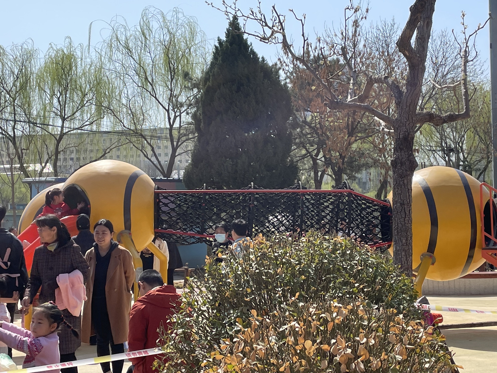 小蜜蜂公园旅行图片 3
