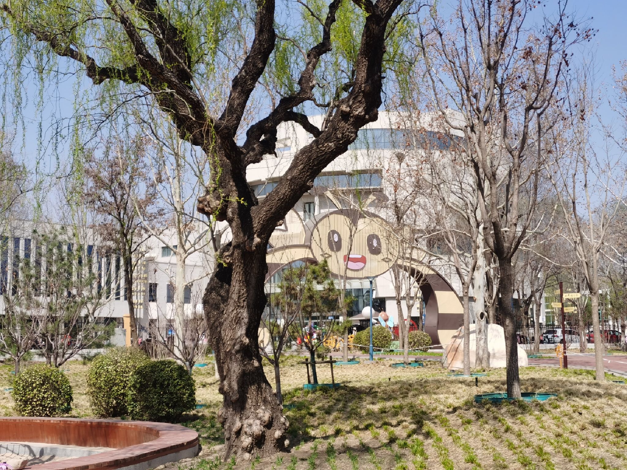 小蜜蜂公园旅行图片 1