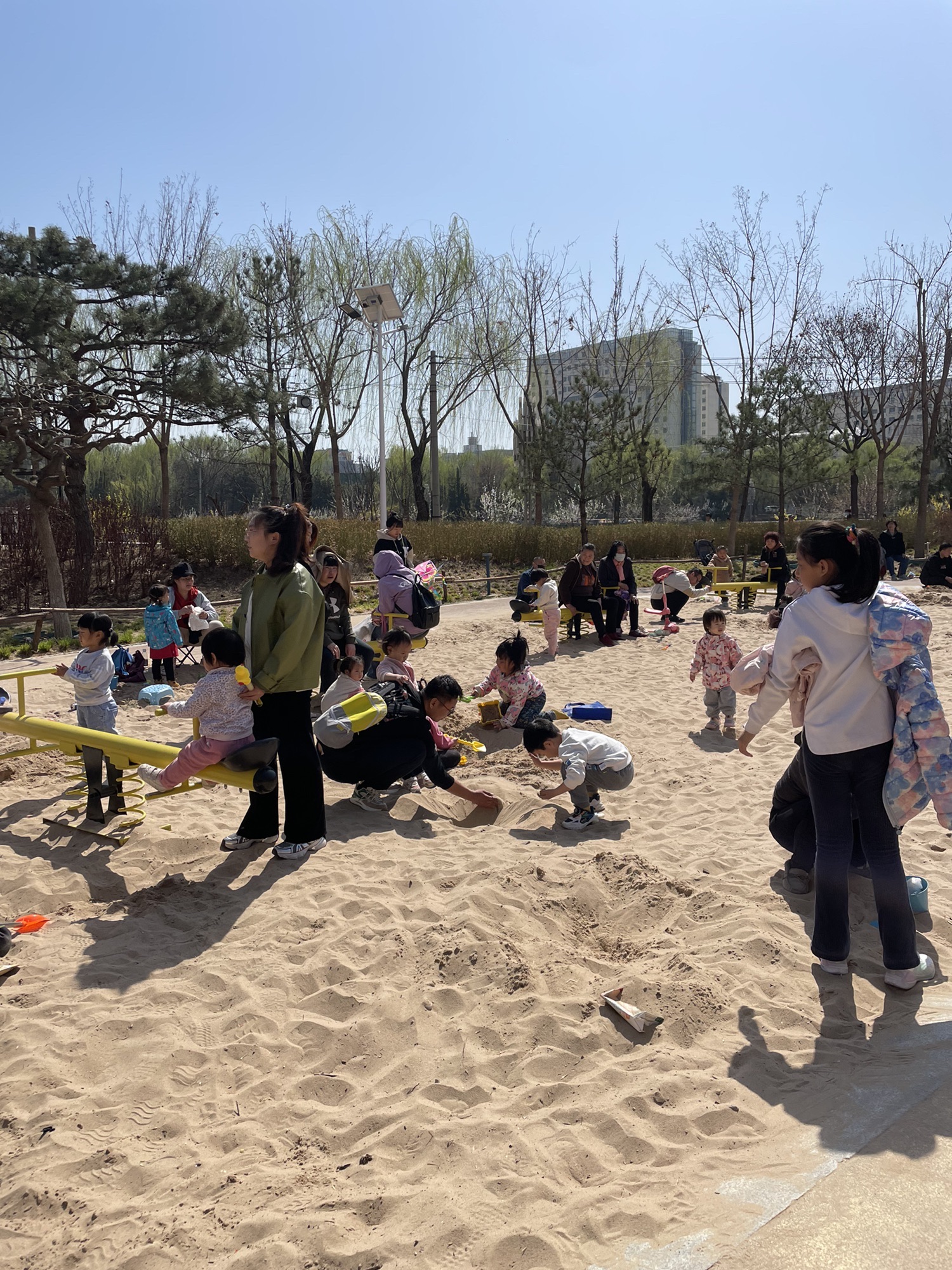 小蜜蜂公园旅行图片 1
