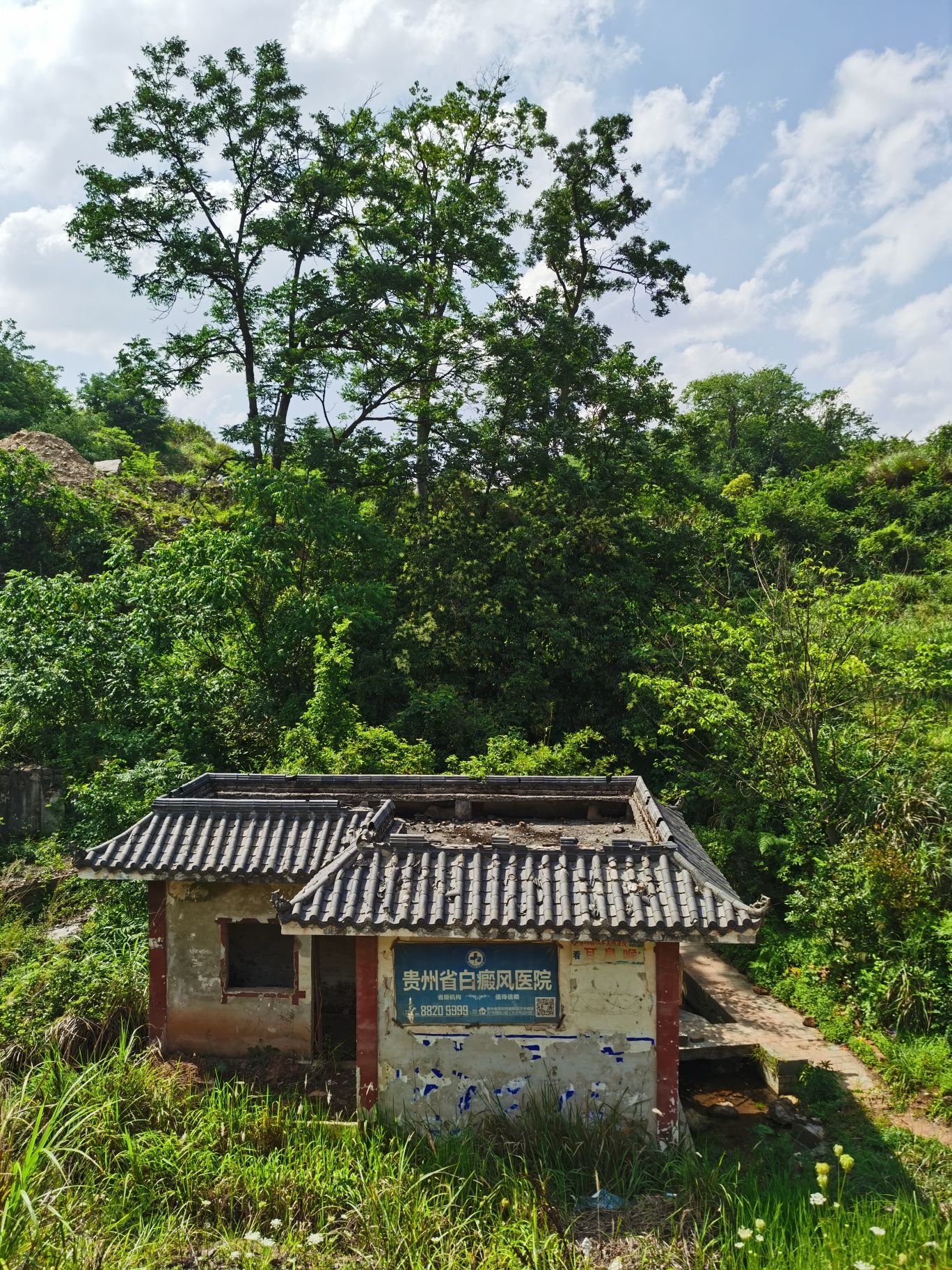 东风镇龙井旅行图片 2