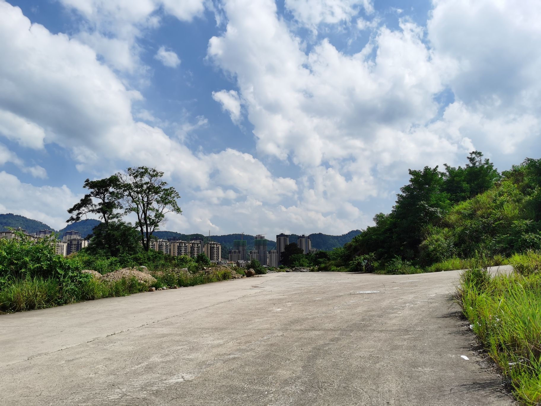 东风镇龙井旅行图片 1