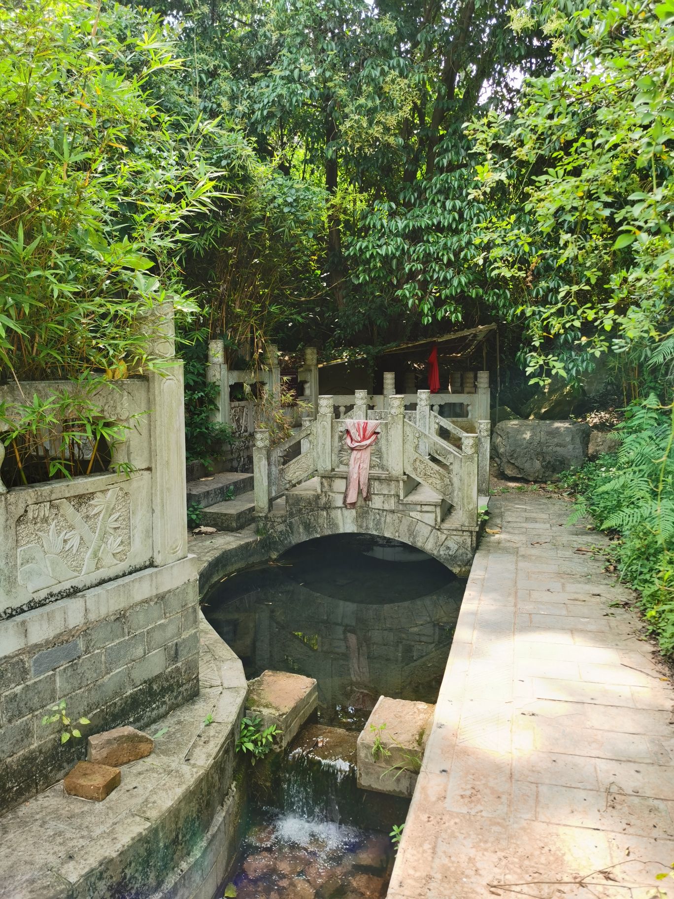 东风镇龙井旅行图片 3