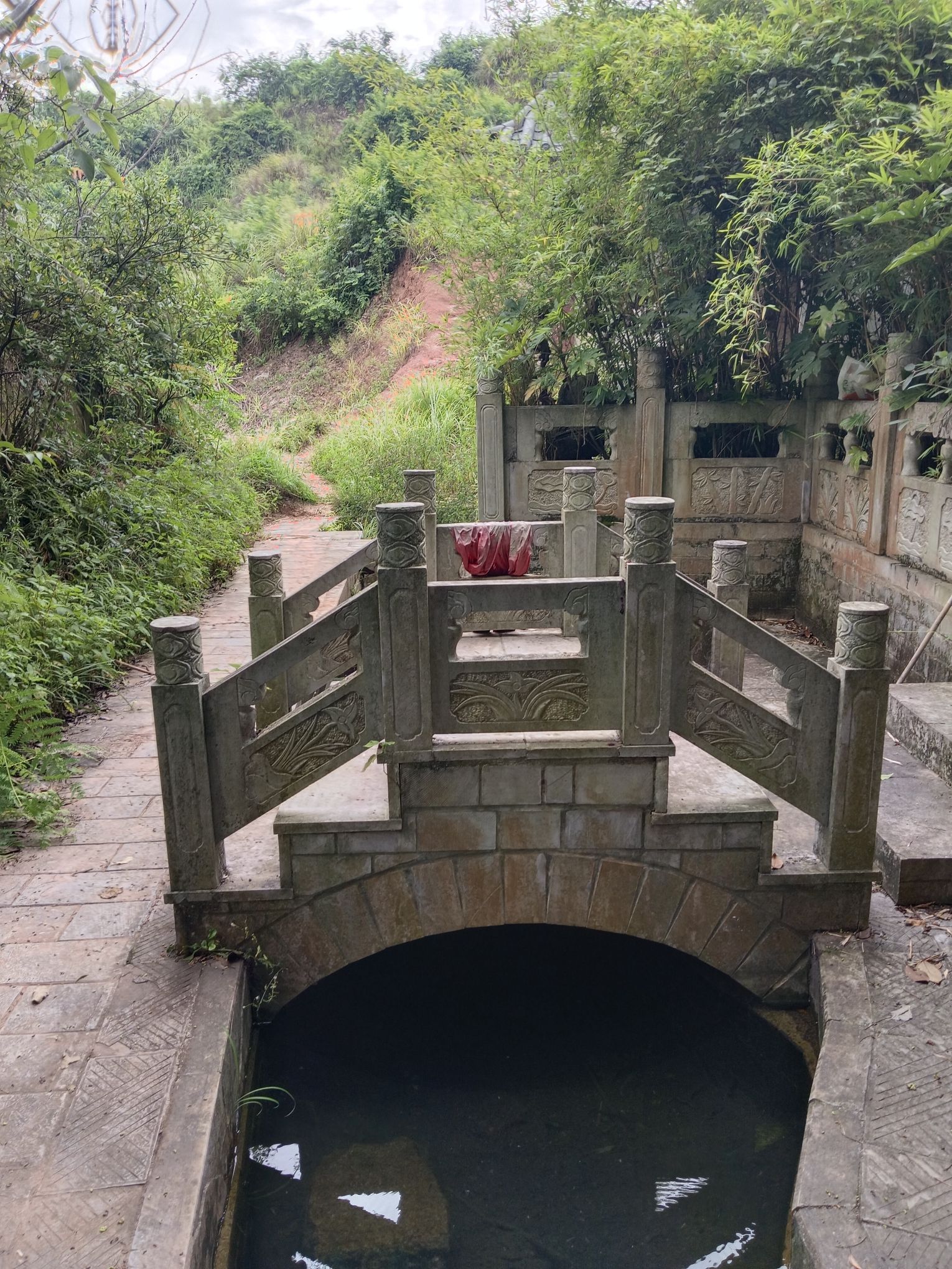 东风镇龙井旅行图片 1