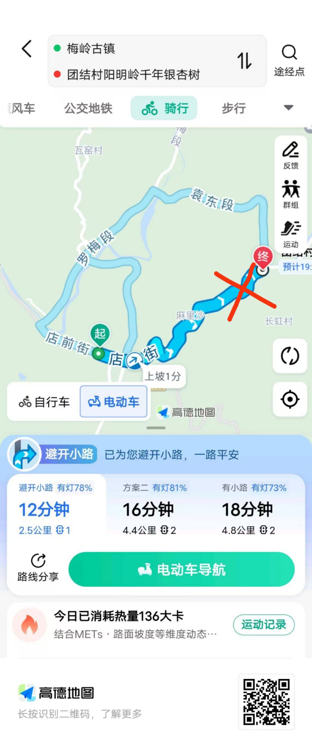 团结村阳明岭千年银杏树旅行图片 1