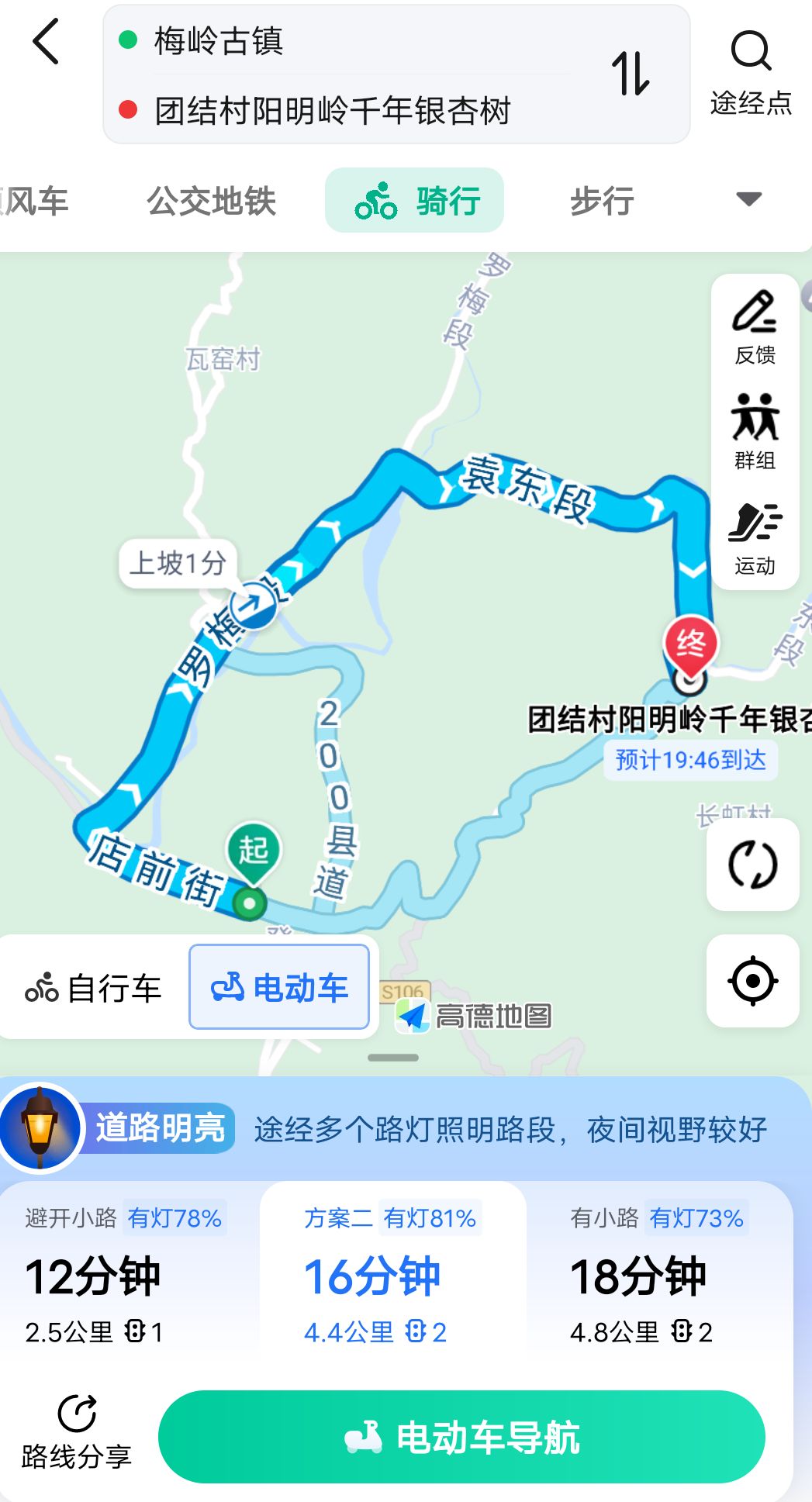 团结村阳明岭千年银杏树旅行图片 2