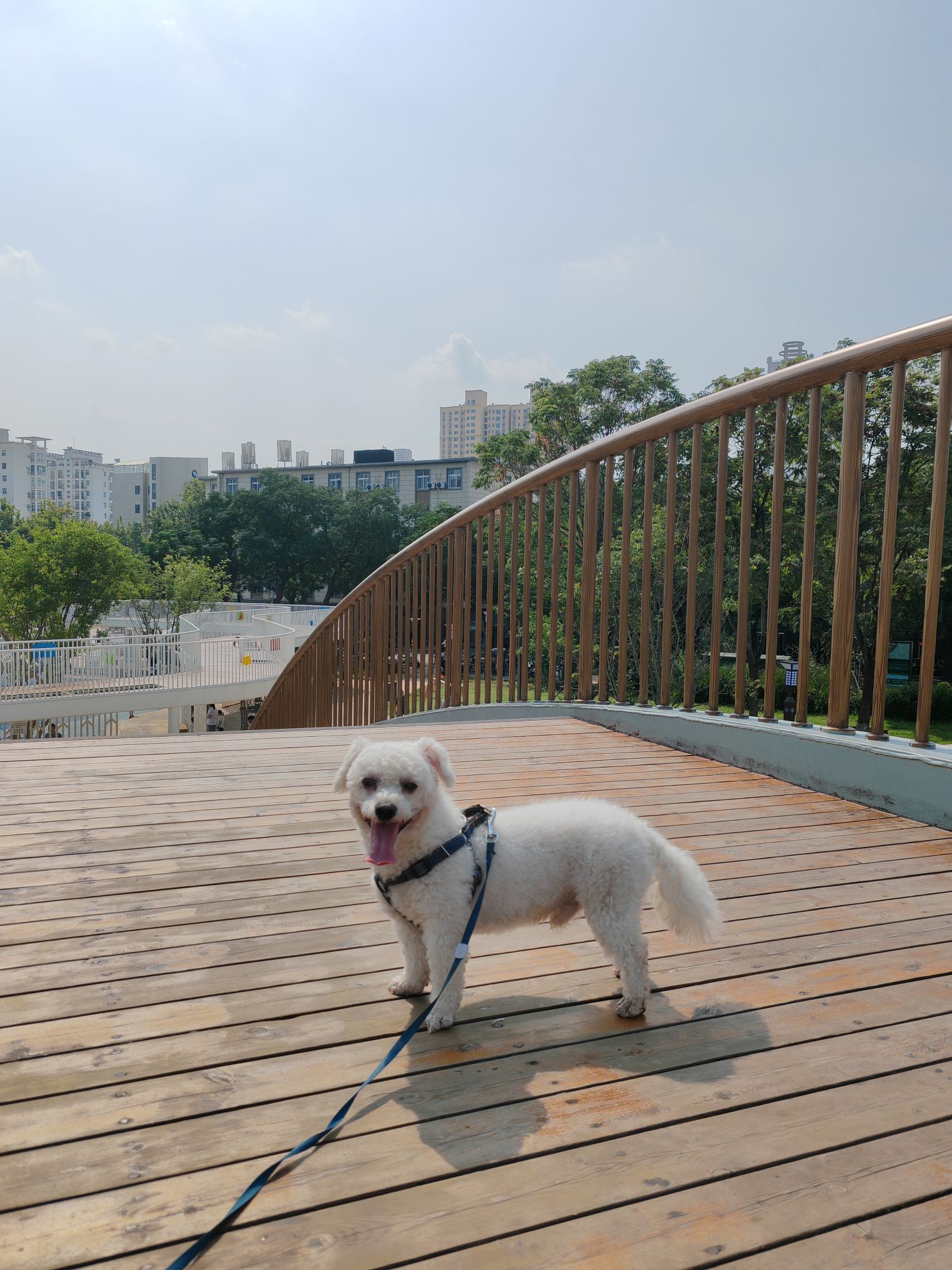 东南城垣文化公园旅行图片 3