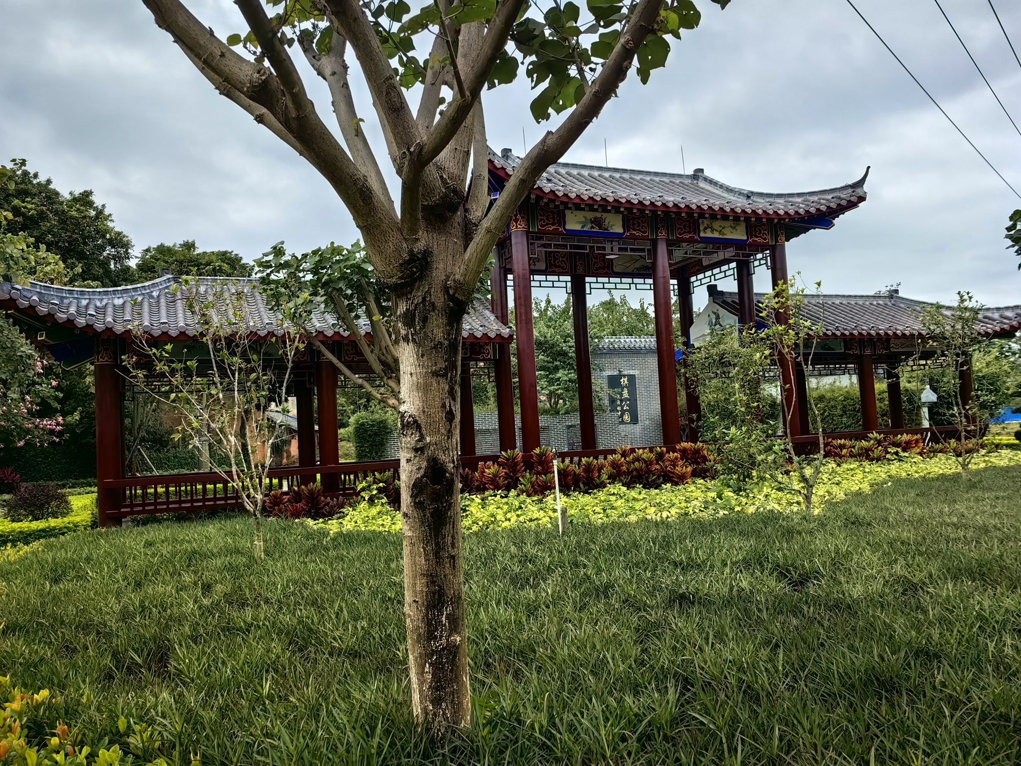 棋盘公园旅行图片 2