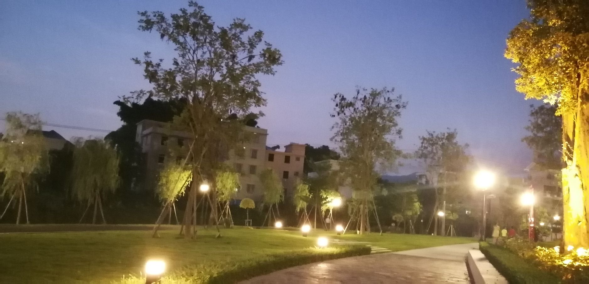 棋盘公园旅行图片 3