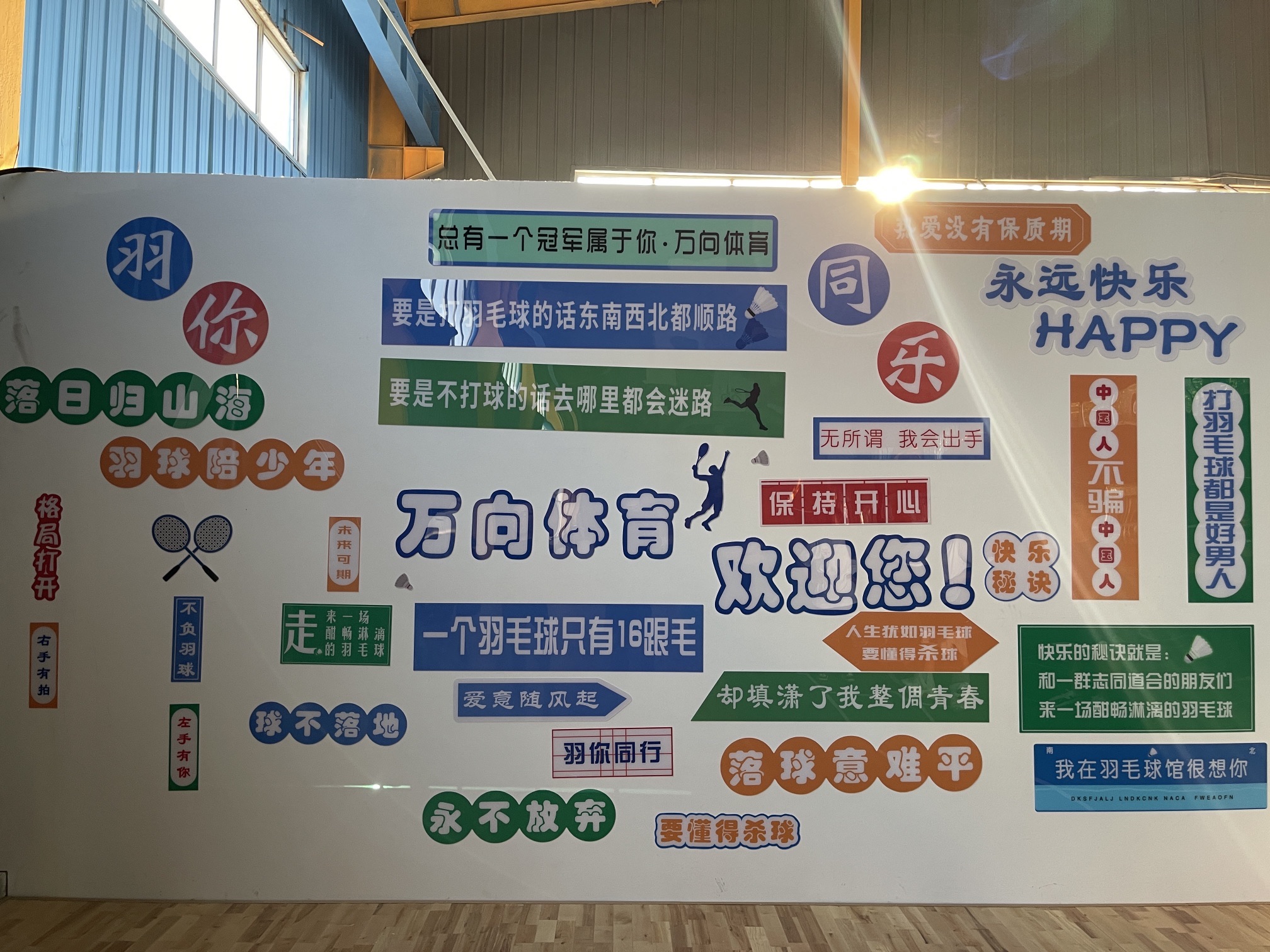 万向体育