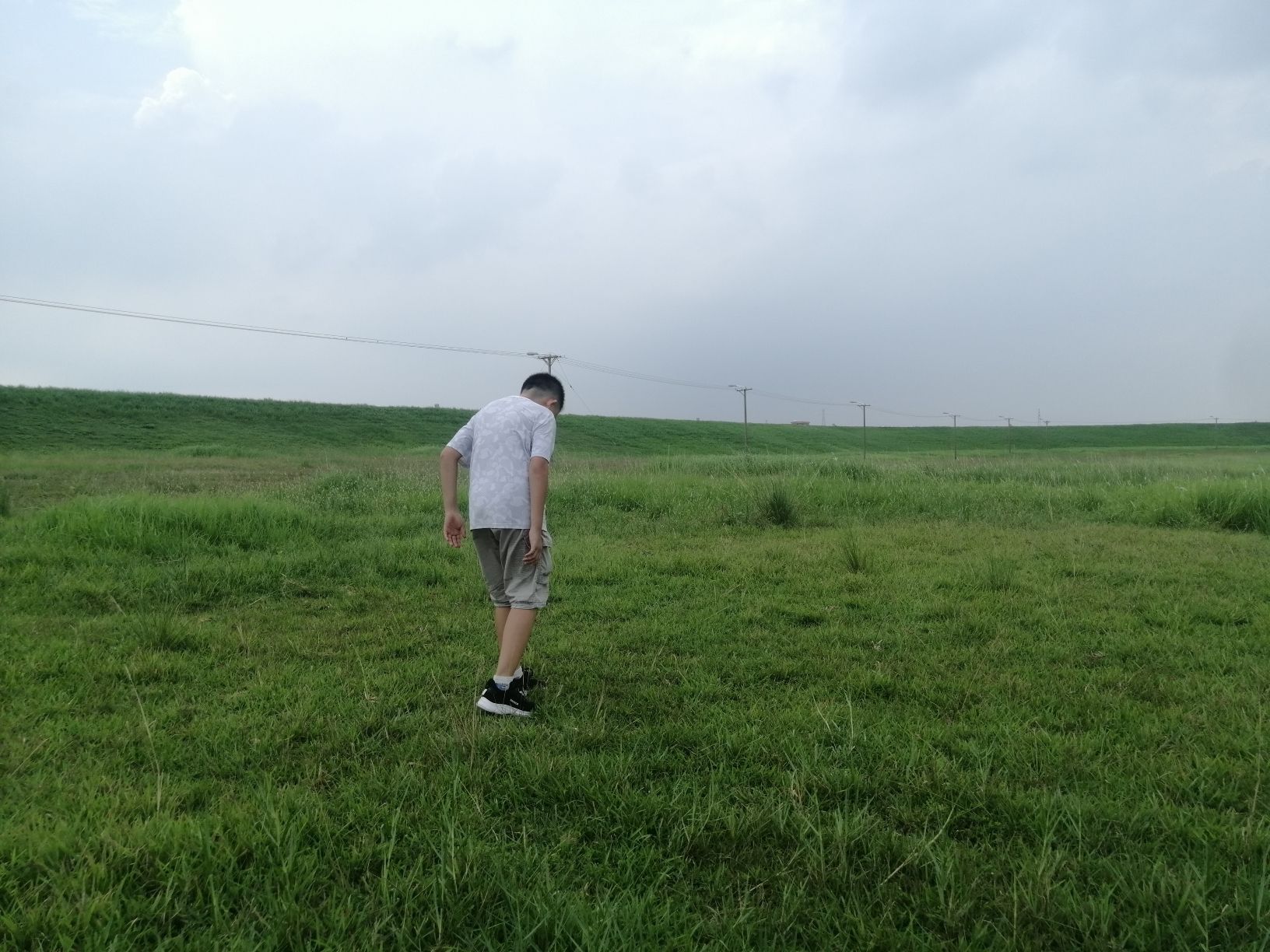 梁家村大榕树旅行图片 3