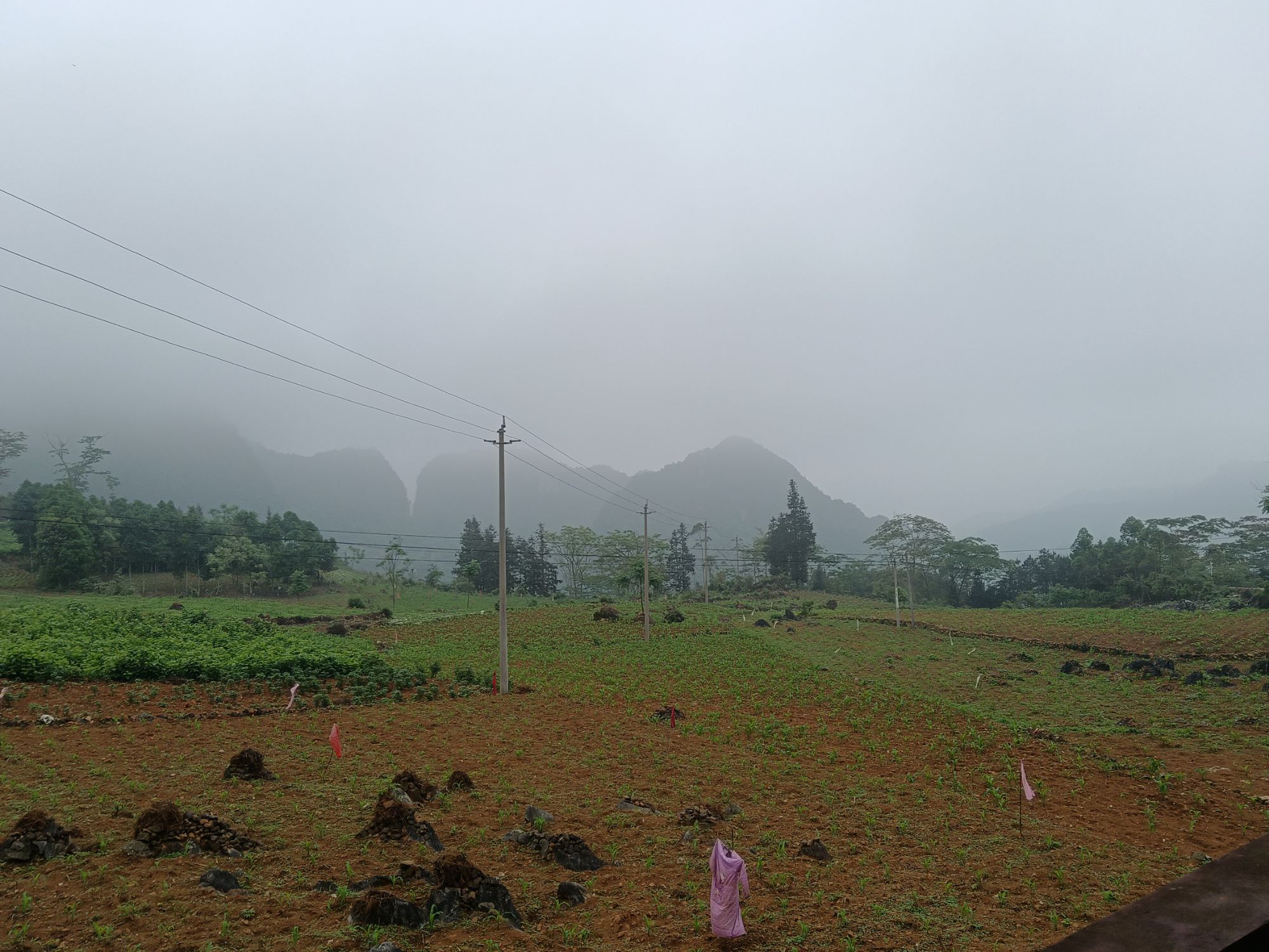 胡志明革命遗址景区旅行图片 2
