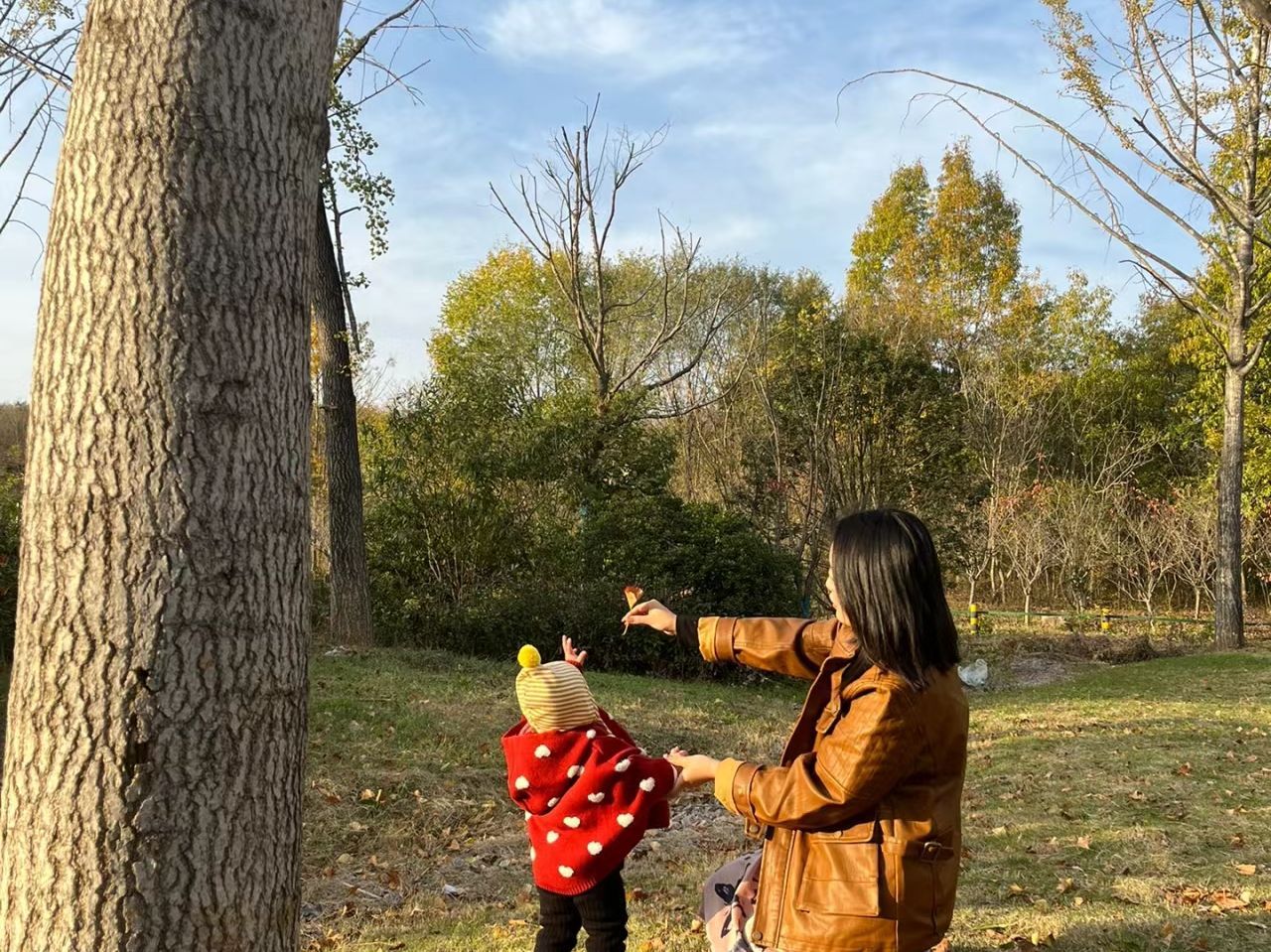 山南银杏公园旅行图片 2
