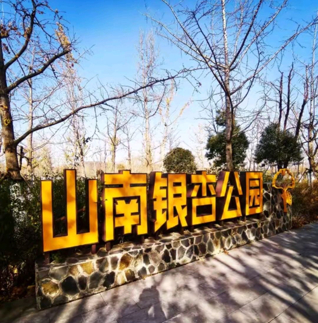 山南银杏公园