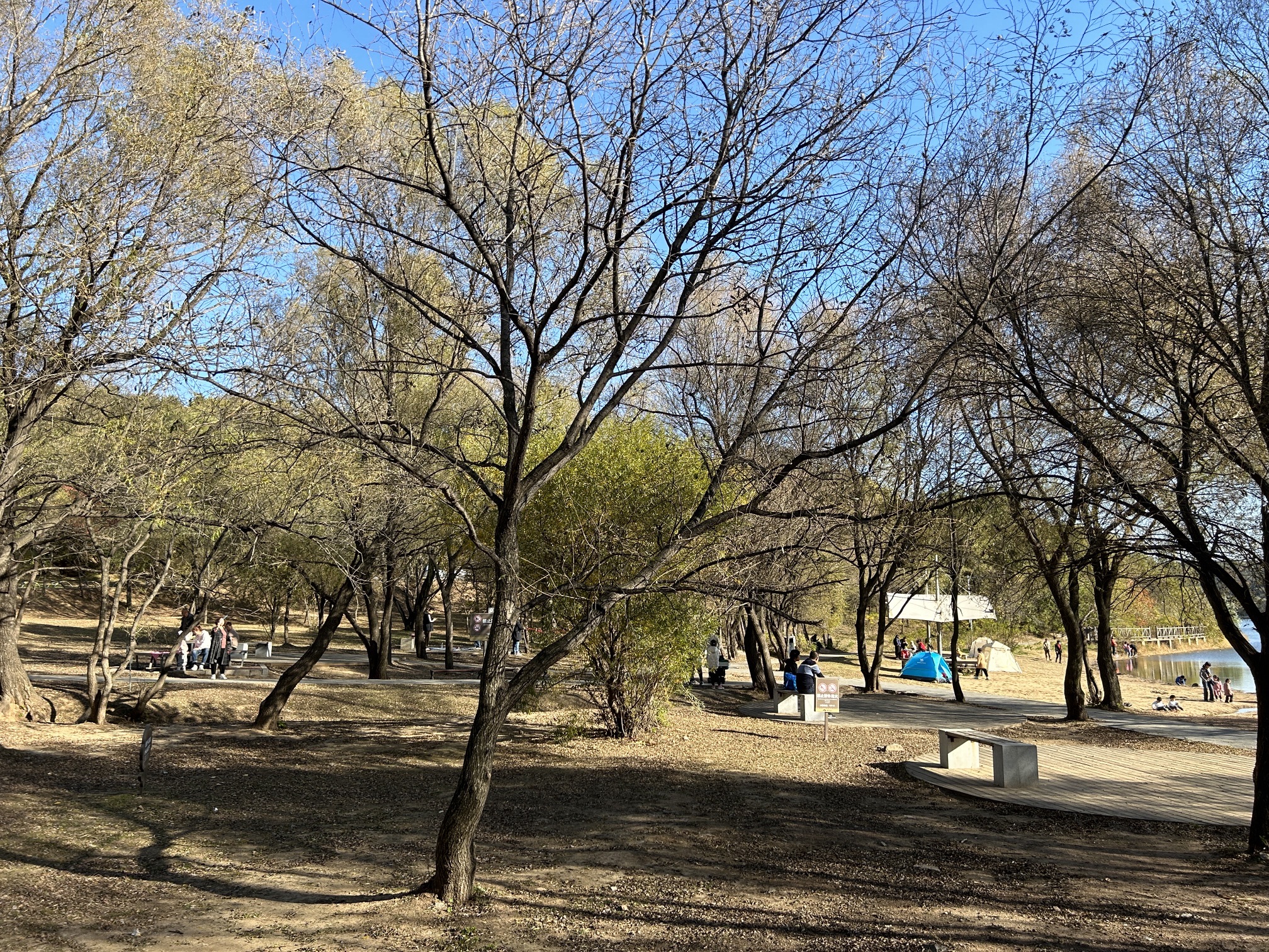 棋盘山金沙湾旅行图片 3