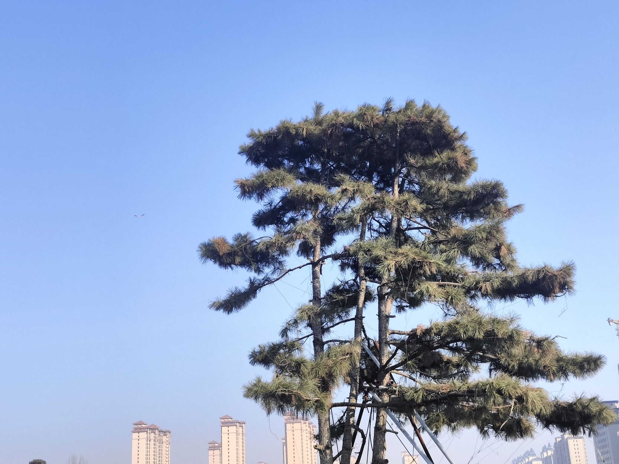 潮悦滨湖公园旅行图片 3