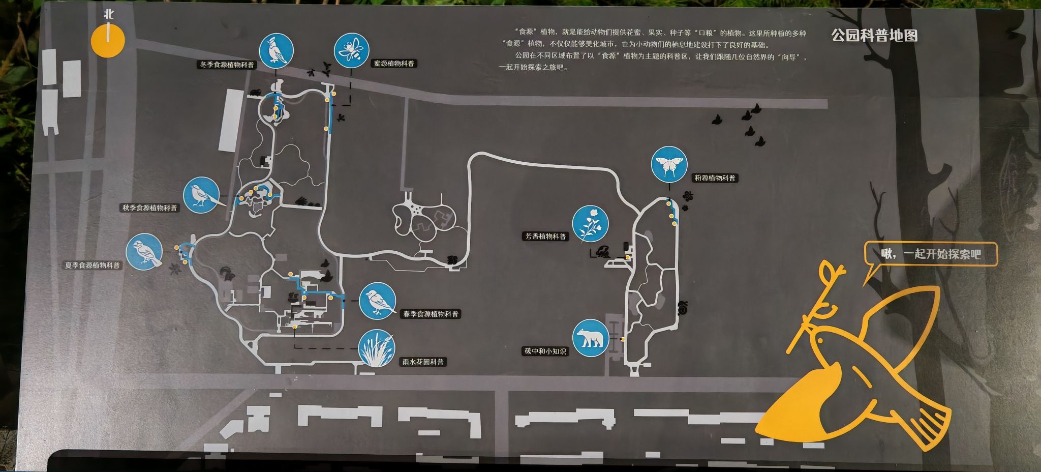 天通苑生态休闲公园旅行图片 3