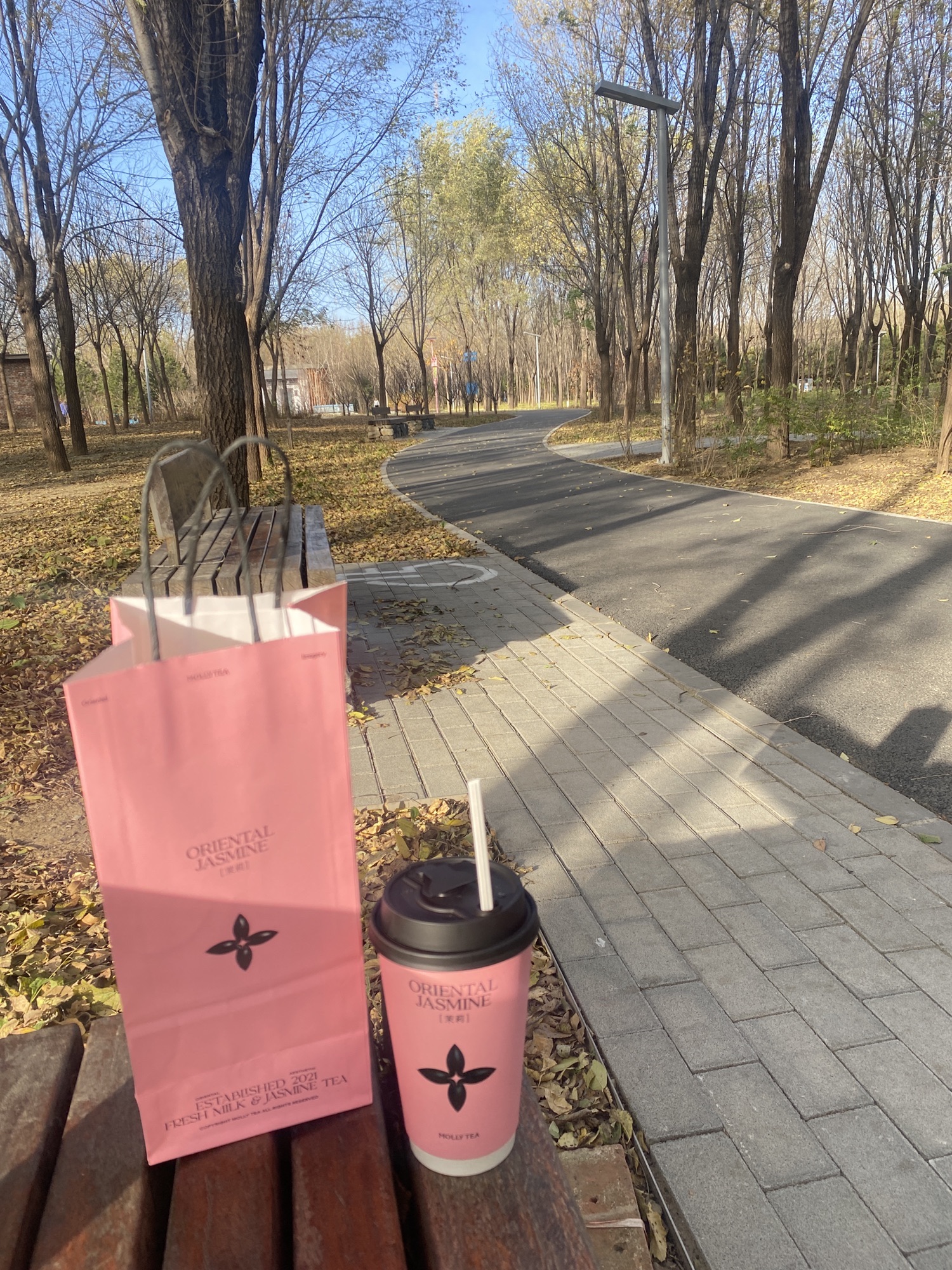 天通苑生态休闲公园 - 天通苑北街道便民圈栖邻生活圈风景名胜服务点实景照片