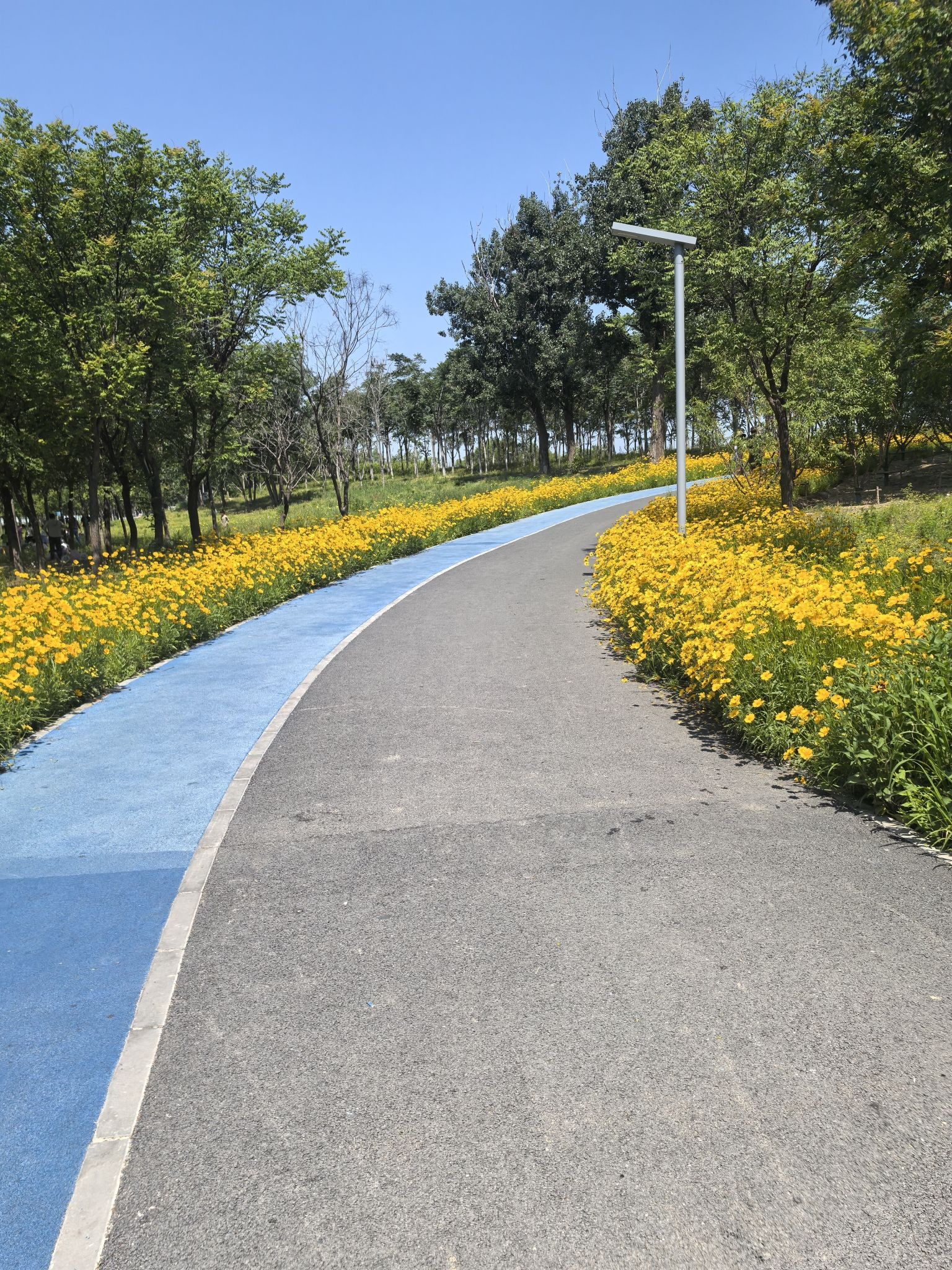 天通苑生态休闲公园
