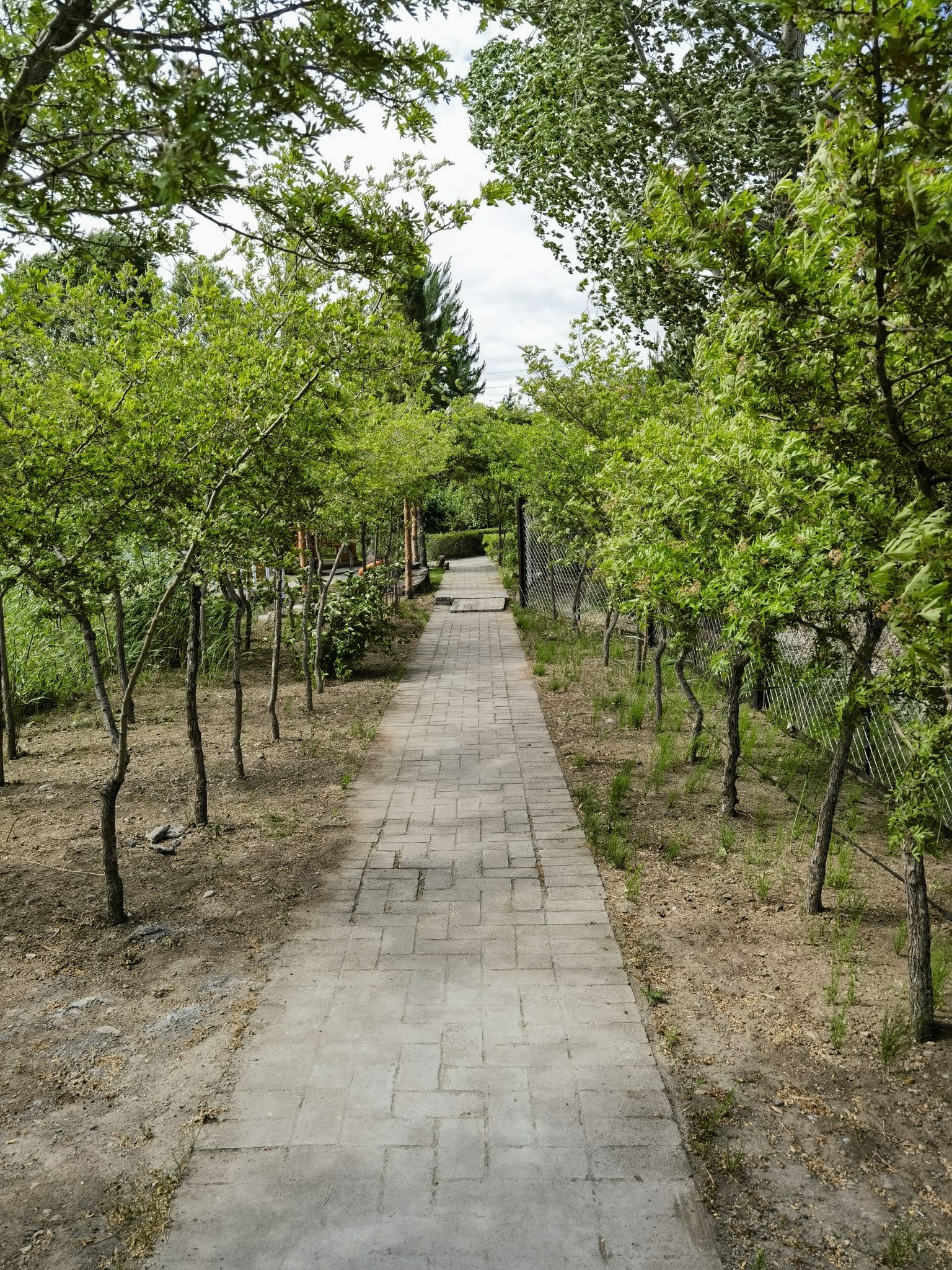 库勒湾旅游度假区旅行图片 3