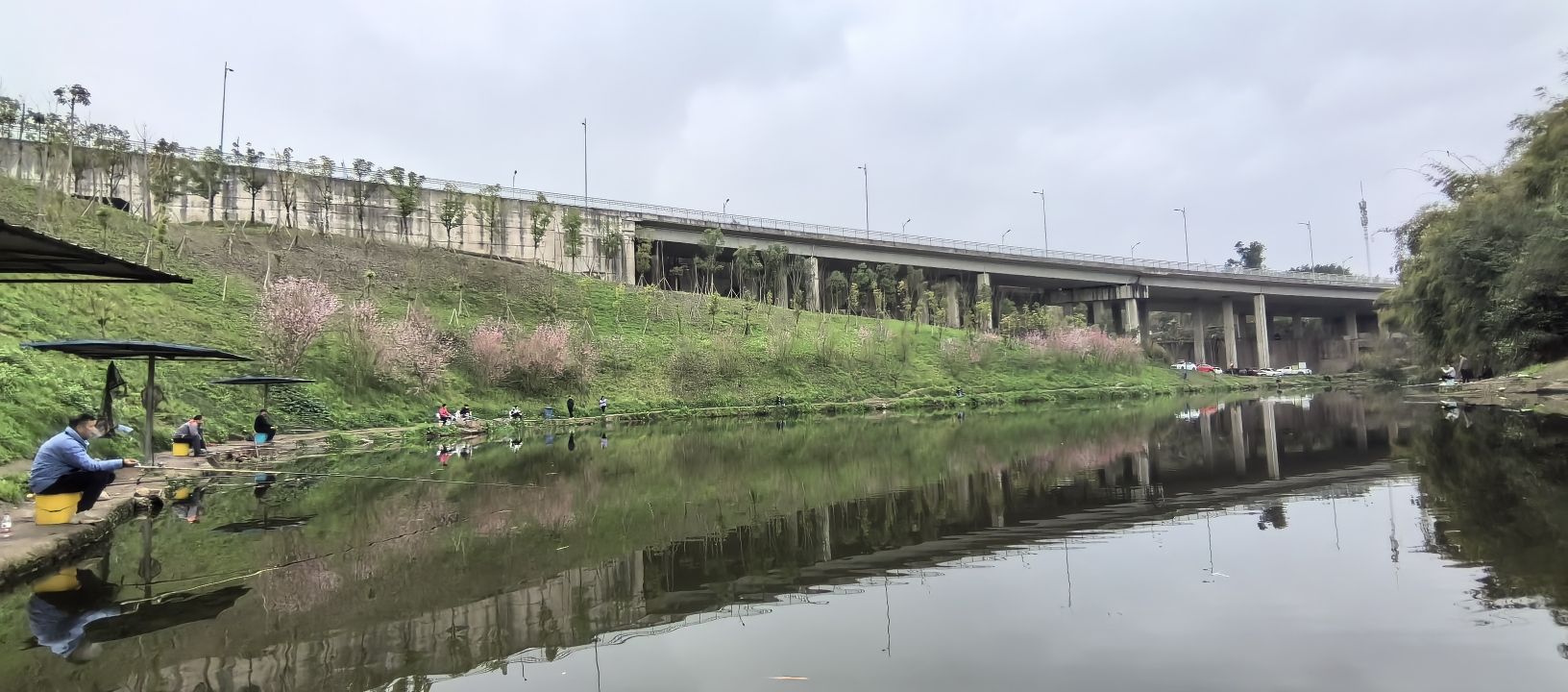 龙井野钓场
