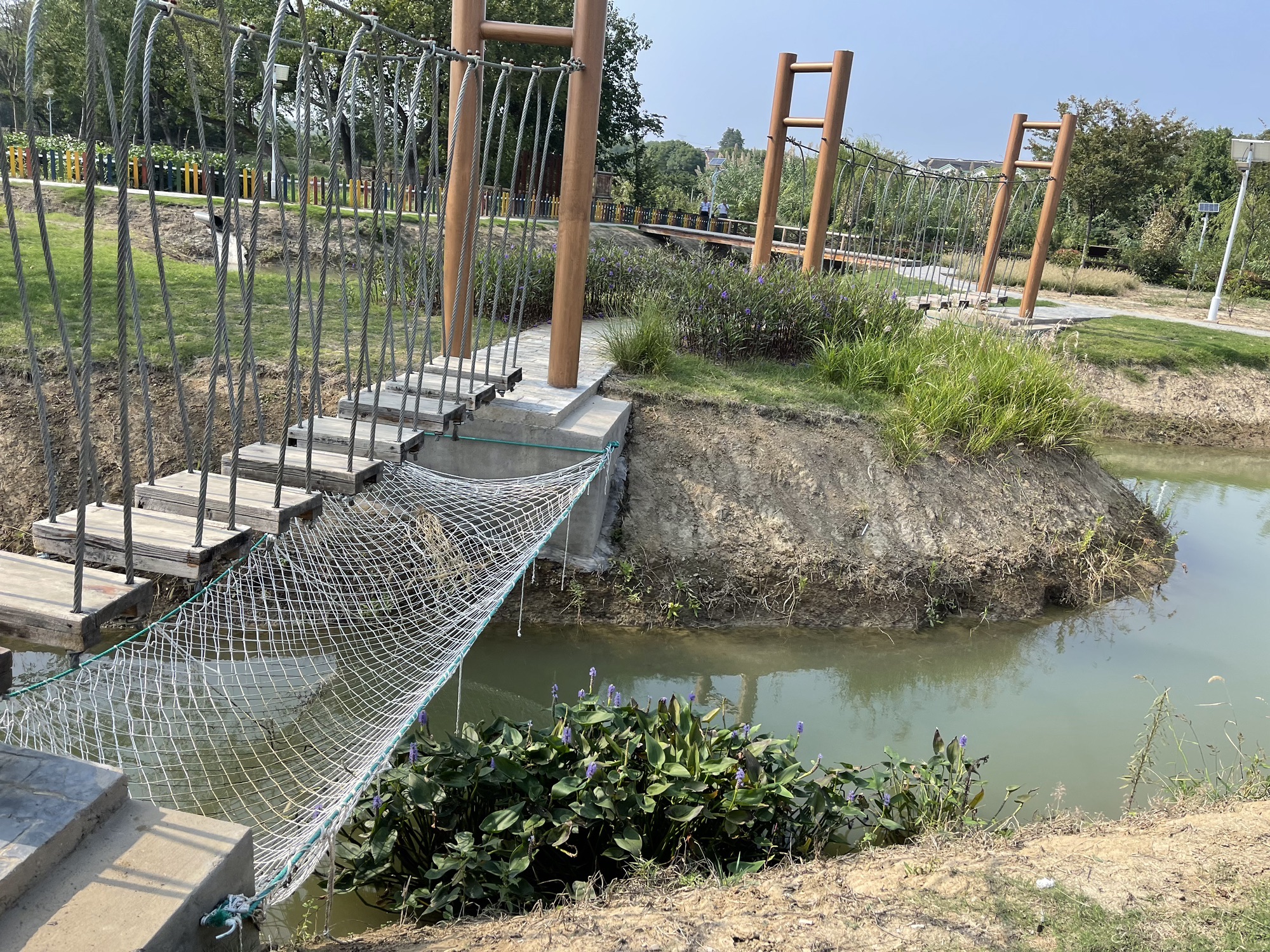 圻庄村谢家头生态湿地公园旅行图片 3